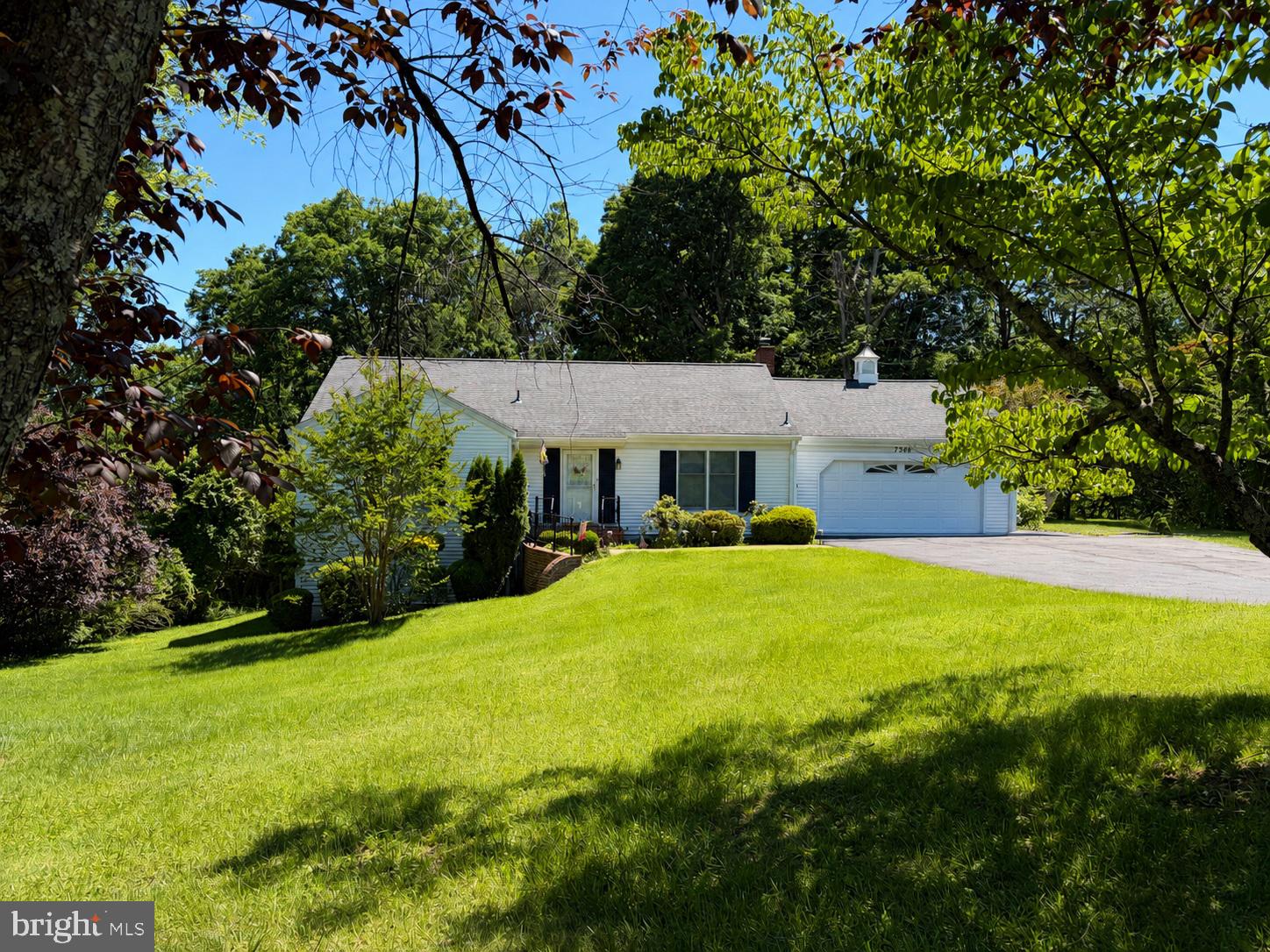 Welcome to 7386 Stuart Circle—an exceptionally well-maintained rambler nestled on a private, partially wooded 1-acre lot in desirable Marstella Estates on the DC side of Warrenton. Lovingly cared for by the current owners since 1978, this home reflects nearly five decades of pride of ownership while offering no HOA and the perfect balance of peaceful country living and commuter convenience.

The sun-filled main level features beautiful hardwood flooring, spacious living and dining areas, an inviting kitchen with generous cabinetry and table space, and three comfortable bedrooms, including a private primary suite. The fully finished walk-out lower level provides exceptional flexibility with two additional legal bedrooms, each offering oversized windows, large closets, and abundant natural light. Whether you need five true bedrooms or prefer to create a home office, media room, fitness area, hobby room, den, or guest suite, this versatile floor plan easily adapts to your lifestyle. (Septic system approved for four bedrooms.)

Outdoor living is equally inviting. A spacious two-level deck, multiple patios, mature trees, and an expansive backyard create a peaceful retreat for entertaining, gardening, or simply relaxing while enjoying the natural surroundings. A long driveway, attached two-car garage, and storage shed provide ample parking and storage.

Perfectly positioned just minutes from Historic Old Town Warrenton, Vint Hill, shopping, dining, wineries, breweries, and major commuter routes including Routes 29, 28, 15, and I-66, this home is also located just 2.9 miles (approximately 7 minutes) from the VDOT Warrenton Commuter Lot, offering convenient Omniride service to the Pentagon, L'Enfant Plaza, and Navy Yard. If you've been searching for a property that has been lovingly maintained, offers flexible living spaces, and provides room to enjoy both indoors and out, 7386 Stuart Circle is ready to welcome its next owners.