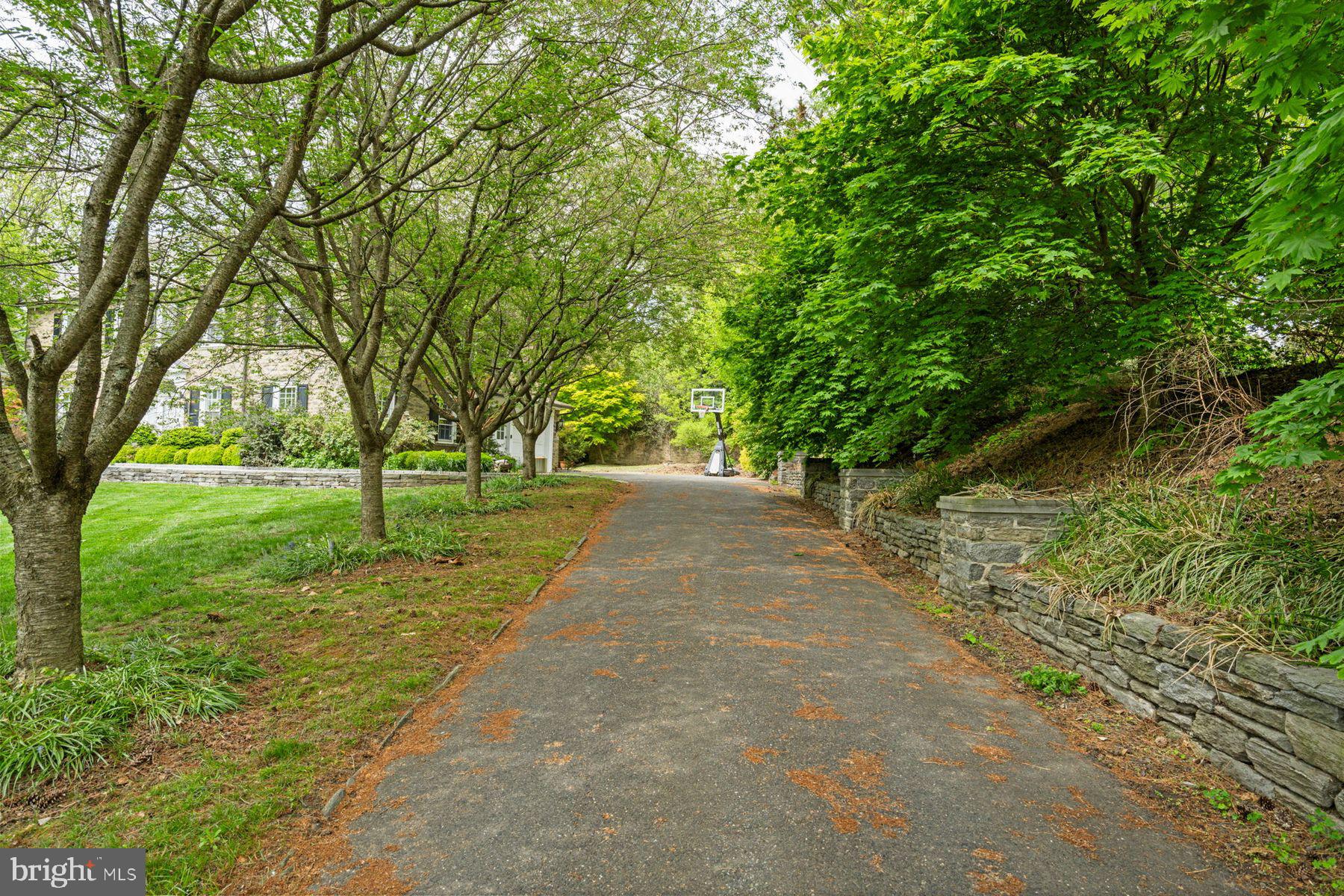 CHESTNUT HILL - Residential
