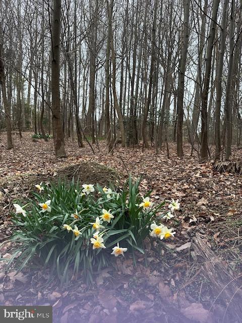 Absolutely beautiful serene one-acre lot available in the Award-Winning Unionville-Chaddsford School District.  Location to school is very convenient!  Build your dream home on this mature-treed lot.  Come and see this amazing opportunity.  This lot is not tied to a builder.