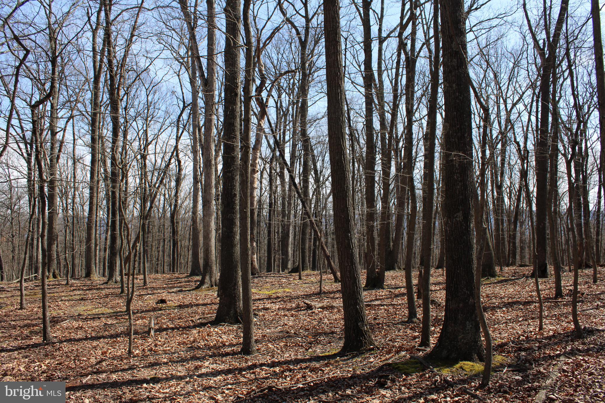 RIVER RIDGE SUBDIVISION - Land