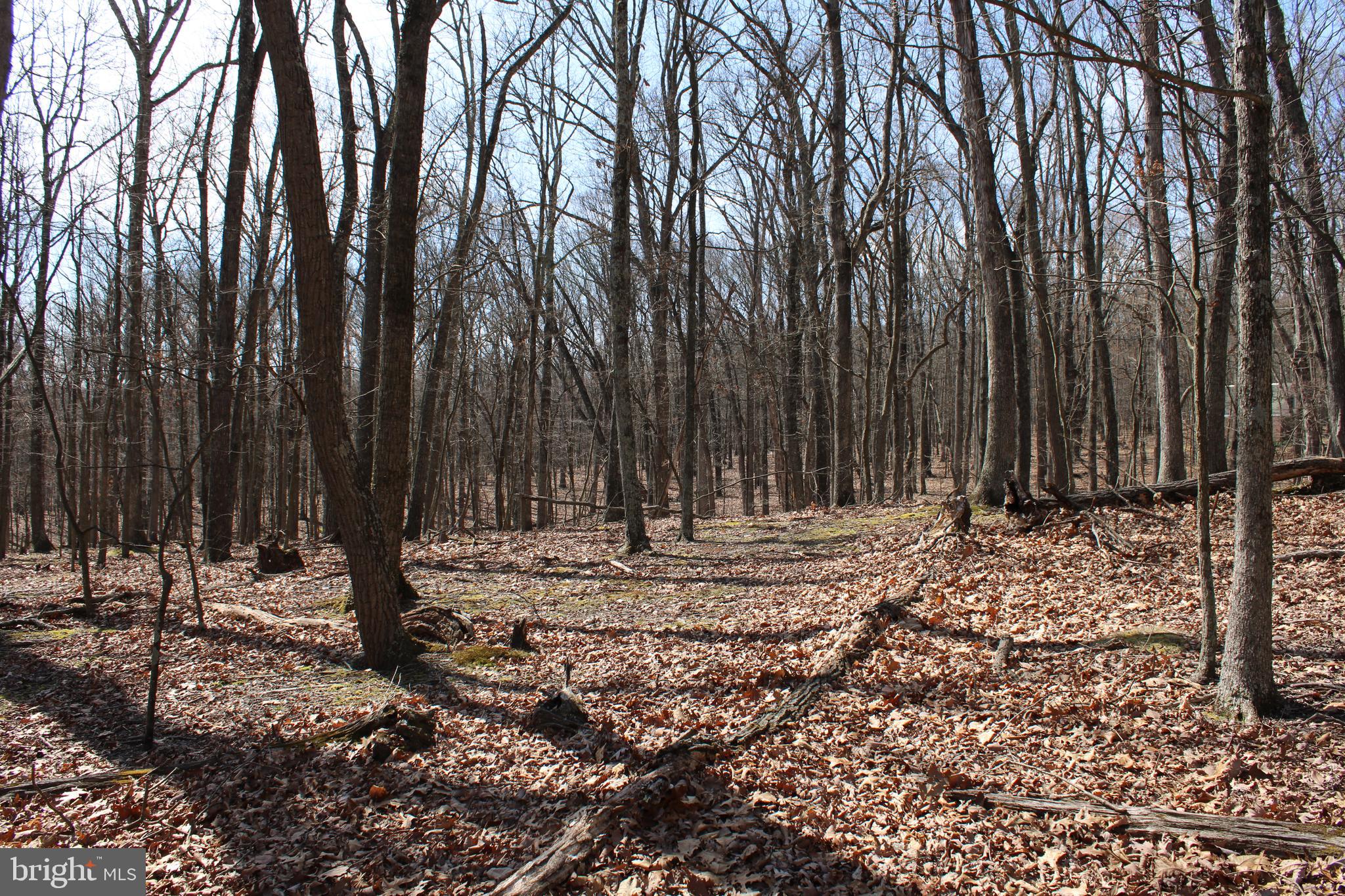 RIVER RIDGE SUBDIVISION - Land
