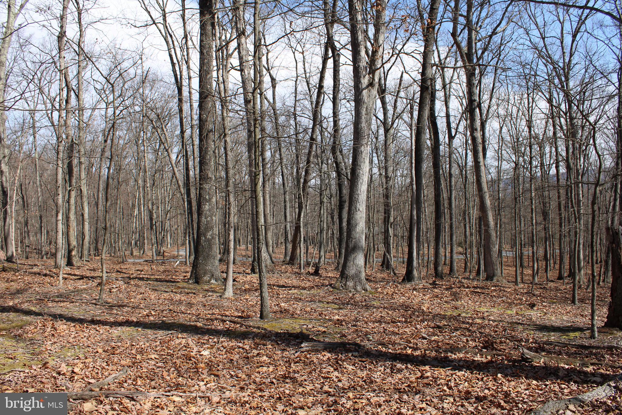 RIVER RIDGE SUBDIVISION - Land
