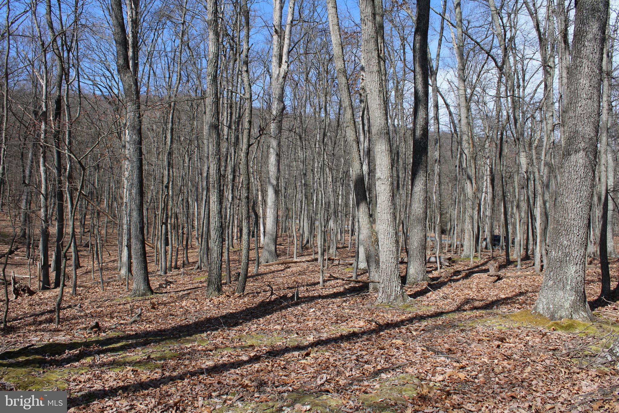 RIVER RIDGE SUBDIVISION - Land