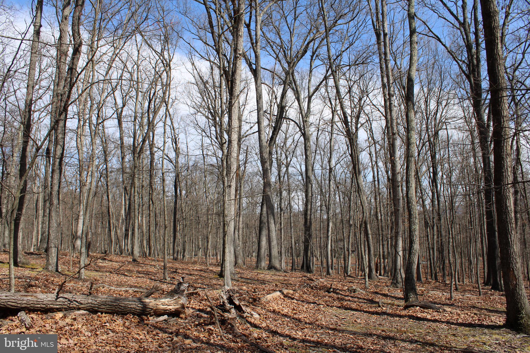 RIVER RIDGE SUBDIVISION - Land