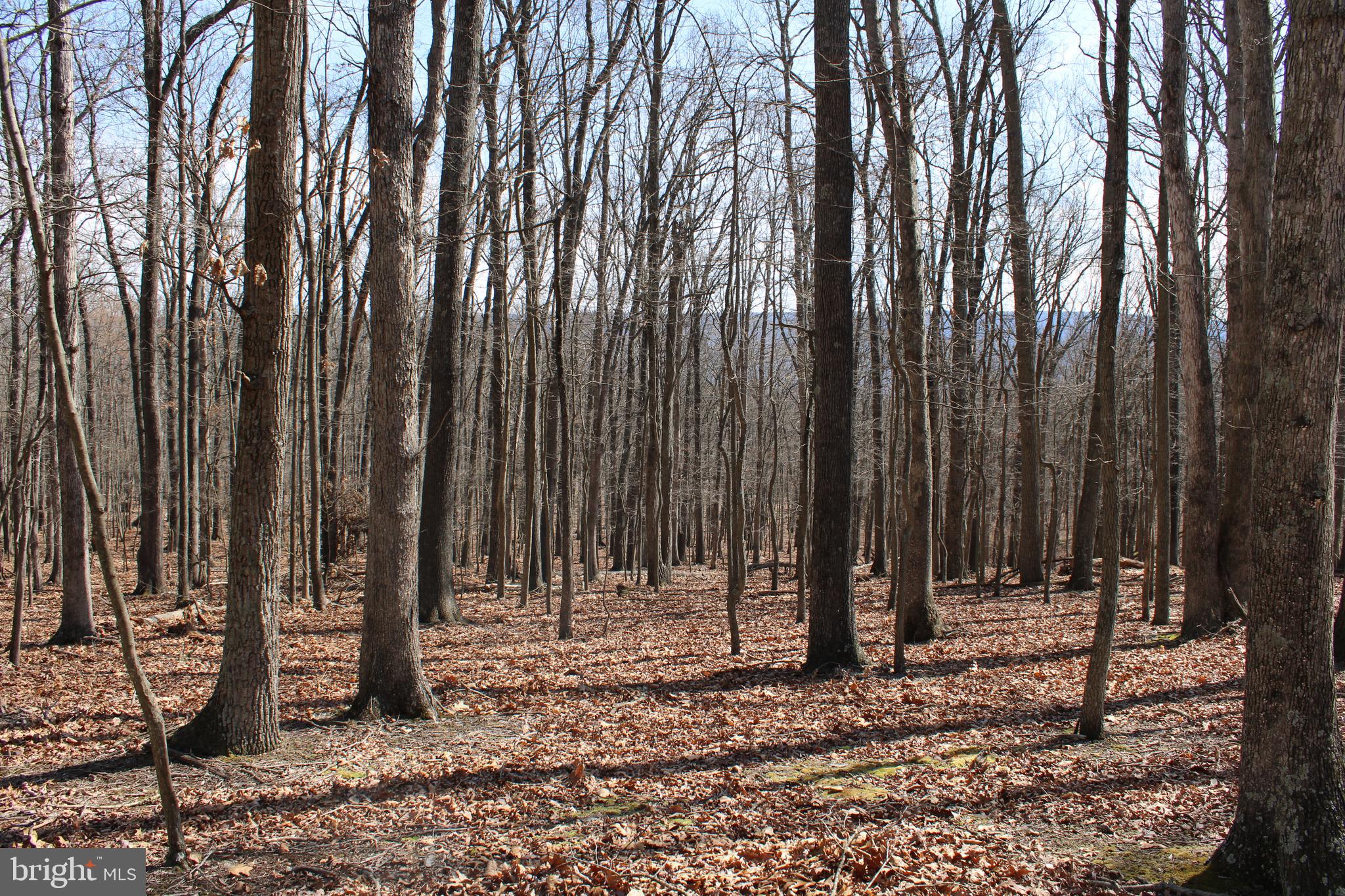 RIVER RIDGE SUBDIVISION - Land