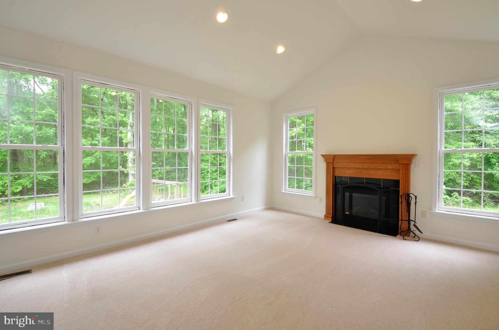 Looking for acreage and privacy? Love the outdoors? This home is situated on over 10 acres that backs to trees for privacy and tranquility! The interior of the home has just been painted! With 4 bedrooms and 2.5 bathrooms, this 3 level home features a bonus exercise/recreation room. The home offers a cathedral ceiling, gas fireplace and brand-new carpet in the family room which opens to the eat in-kitchen! The main level also features an office/den with privacy French doors, living room that flows into the dining room.  Located close to Dahlgren.