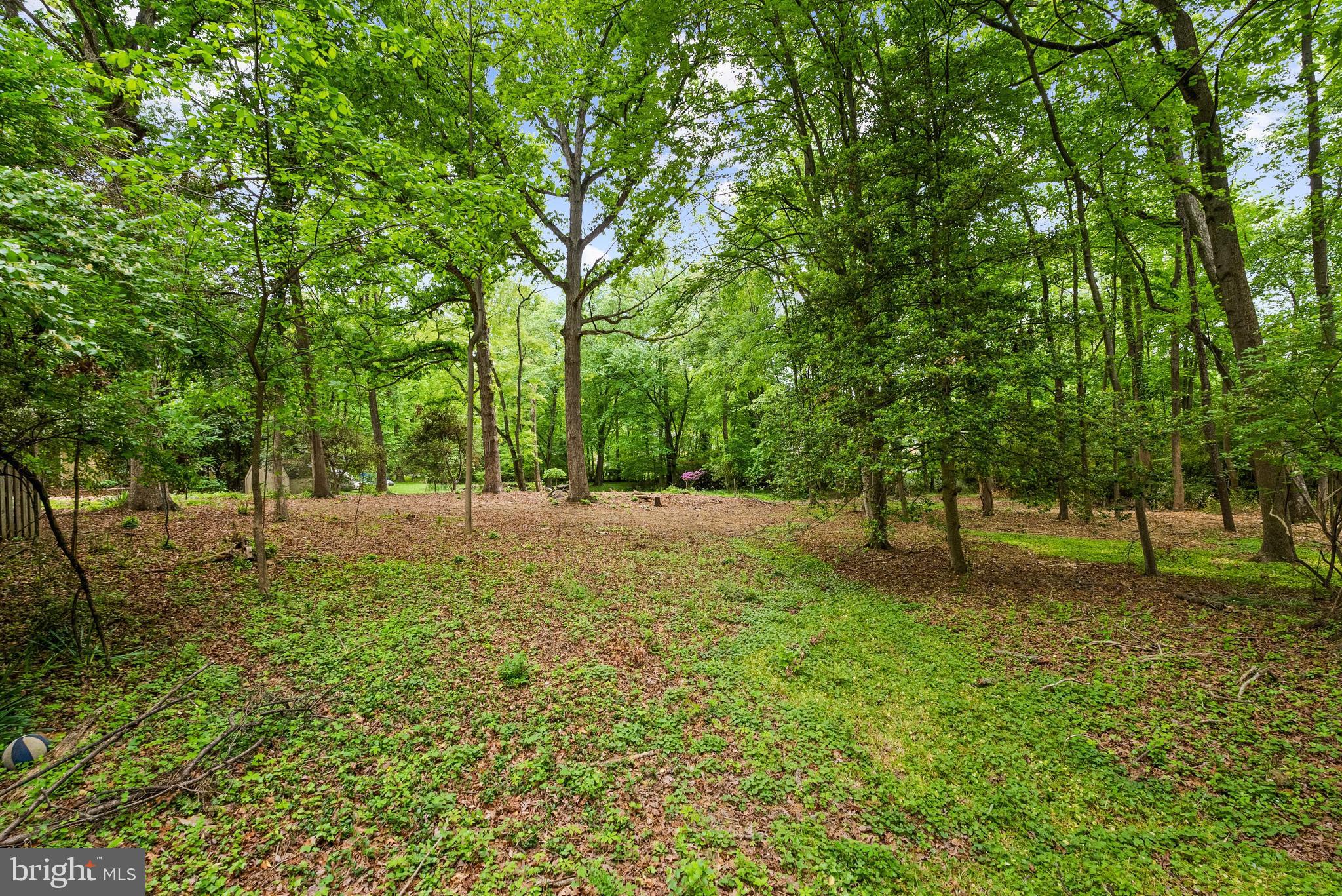 FRANKLIN PARK - Residential