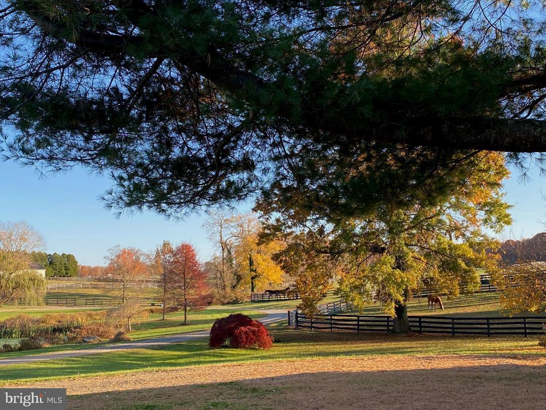 Boundary Farm sits in the center of America's horse and hunt country, Middleburg, Virginia. Just south of route 50 in Fauquier County, Boundary offers an equestrian family retreat, established facility for the professional horseman or an income producing business for a savvy investor. The property is thoughtfully laid out for functionality in all aspects of horse husbandry. Just a few easy miles to the center of town, near hallowed Civil War battlefields, and in the  Orange County Hunt country, Boundary represents much of the Middleburg lifestyle at the end of a picturesque tree lined drive. 
Turnkey equestrian property 34 +/- * lush acres with a gated tree lined entrance  and spring fed pond. 4 BR, 3 FB Cape Cod with covered front porch, cathedral ceilings , French doors and wood floors,  with  a detached garage/workshop and a fully renovated 1 BR, 1 FB guest cottage . 10 stall courtyard bank barn with tack room, bathroom, double wash stall, laundry room, large secure storage room, a farm office, a riders lounge with full bath and an expansive loft. 5 stall center aisle barn with large attached equipment shed, 2 stall block barn with oversized stalls, center aisle and covered shed row. 12 paddocks, 5 run in sheds, and a newly improved 150 x 250 sand and bluestone outdoor arena. 
 High Speed Internet. 
5 minutes to Middleburg, 40 minutes to Dulles Int'l Airport, 1 hour to DC.
Conservation Easement. Owner licensed Realtor.