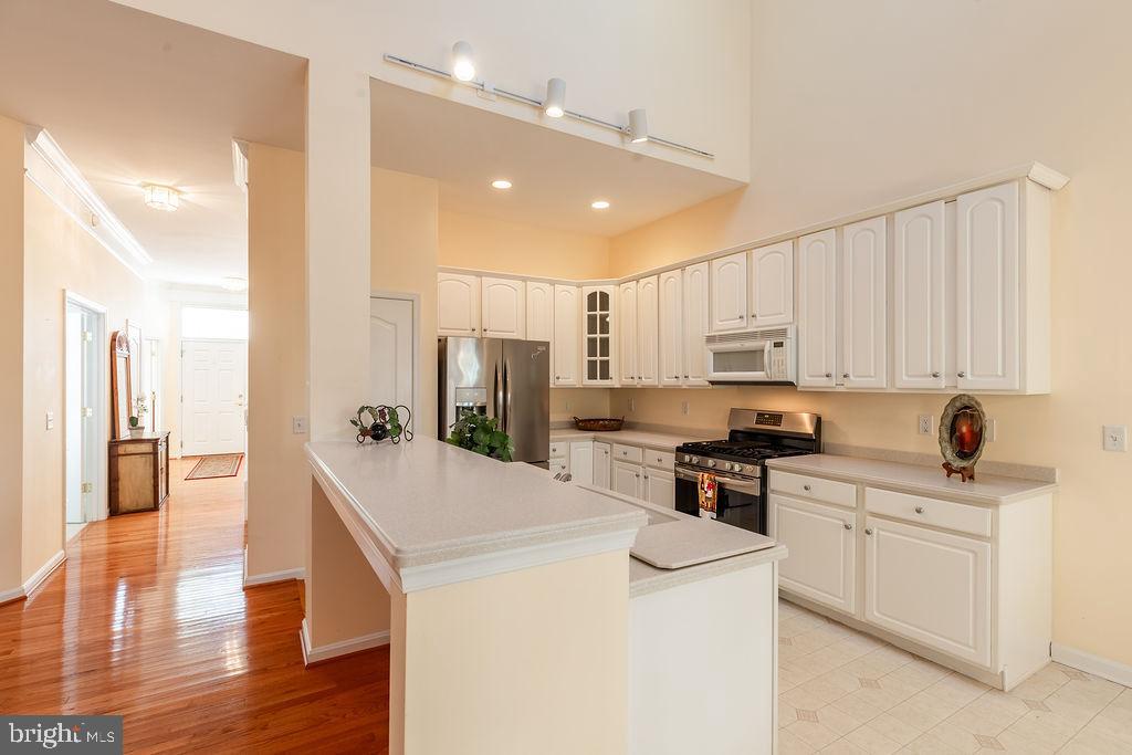 OCEAN PINES - THE PARKE - Residential