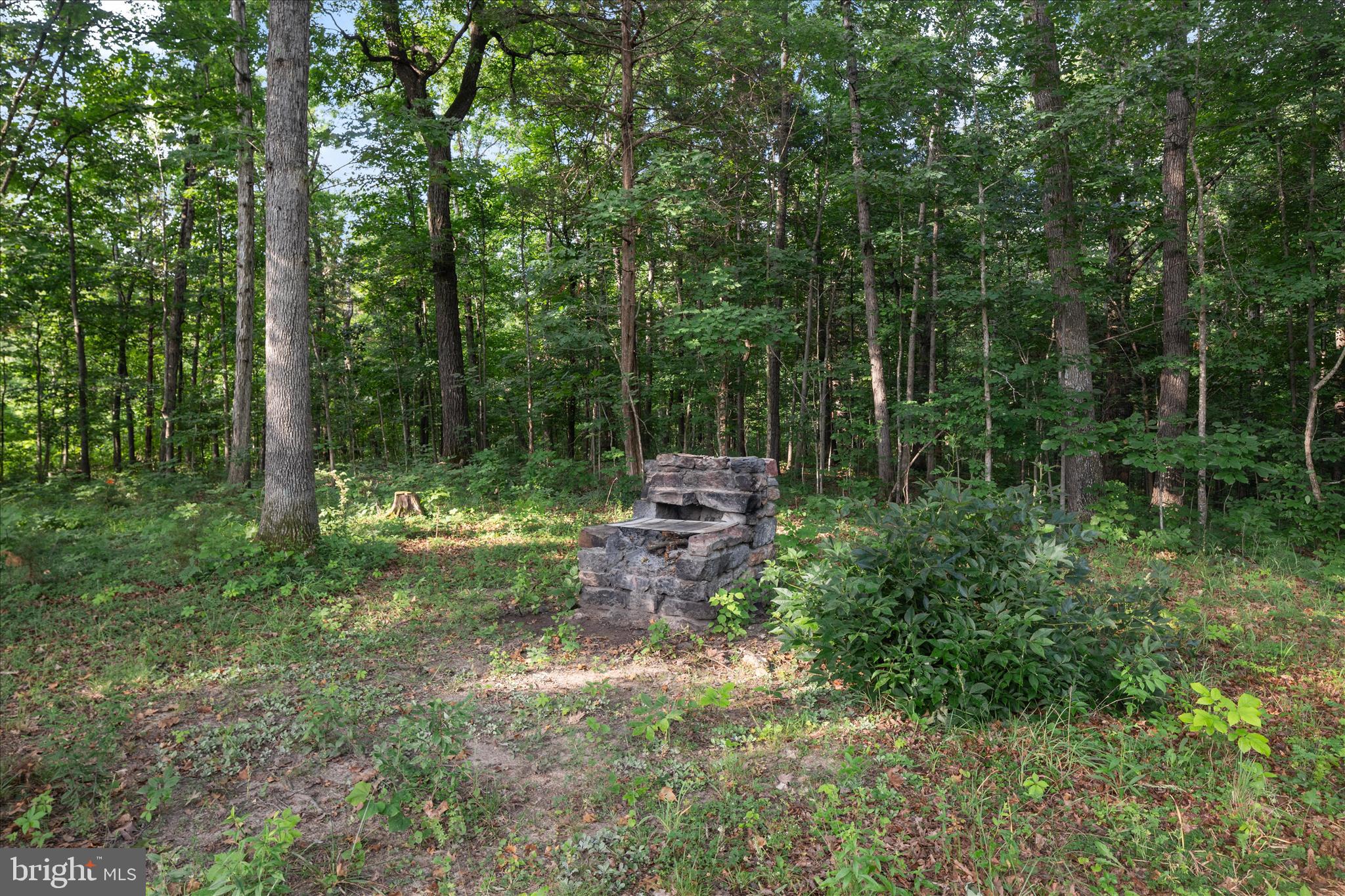 DAVIS STRASBURG - Residential