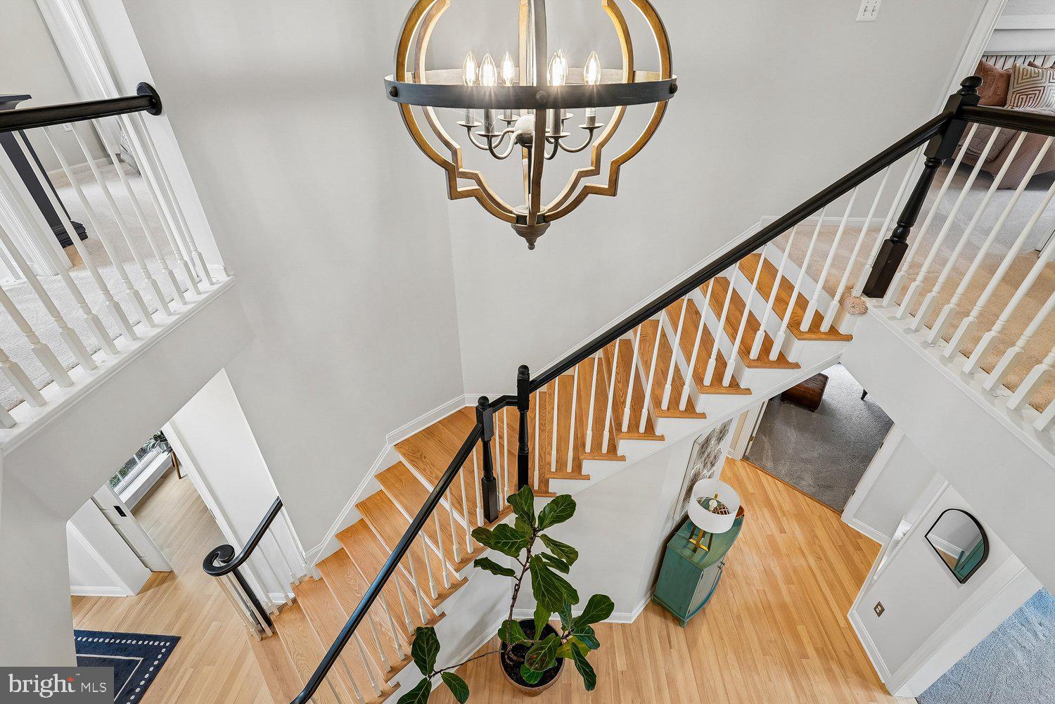 ESTATES OF FOREST RIDGE - Residential