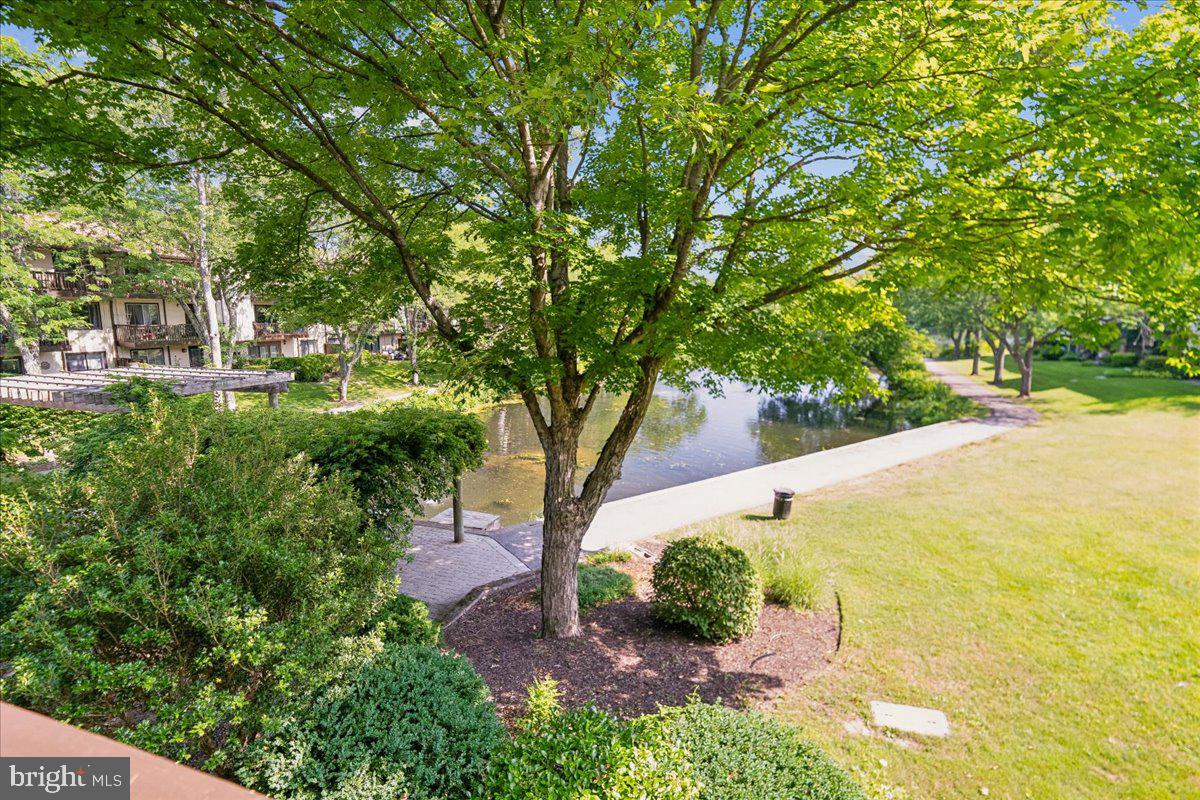 THE COVE - Residential