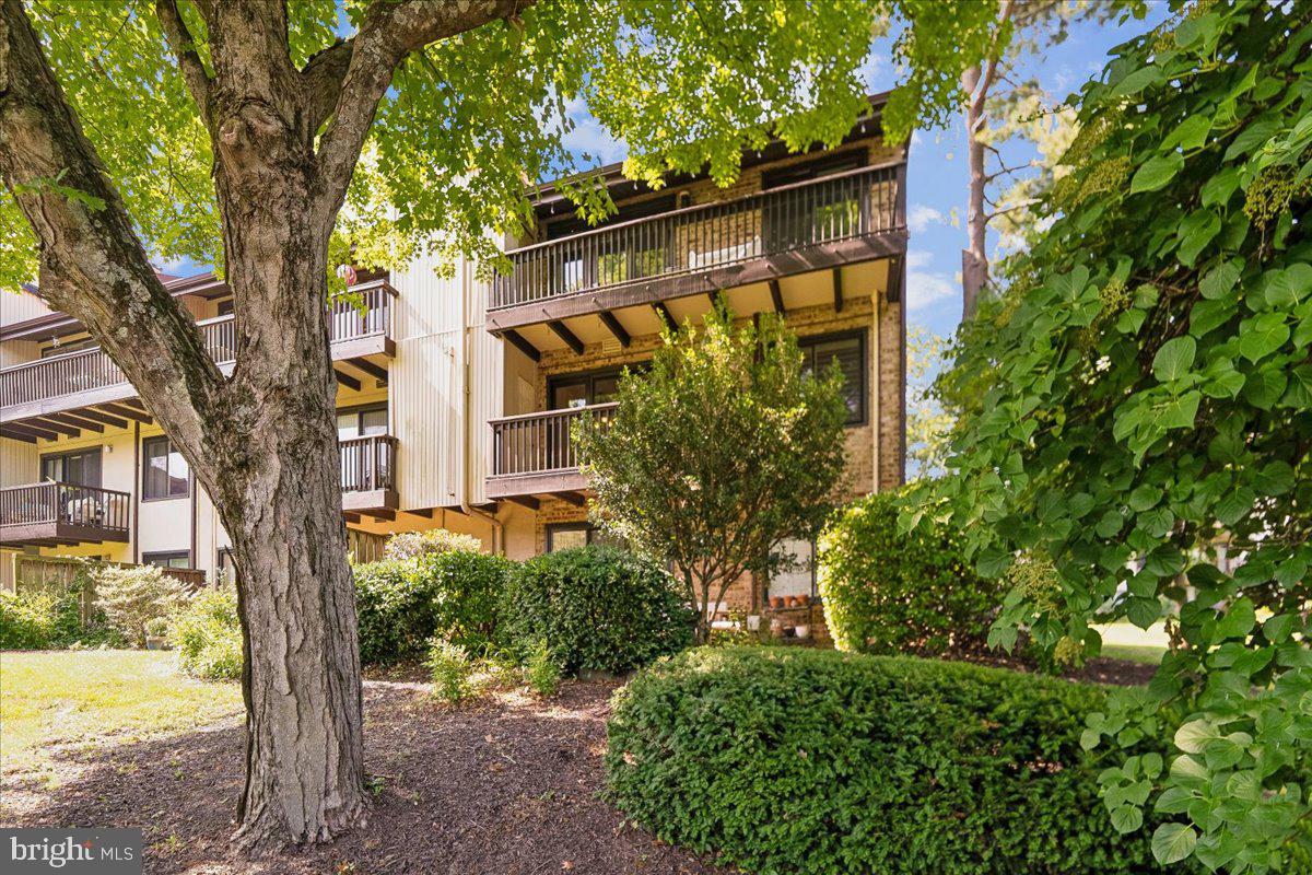 THE COVE - Residential