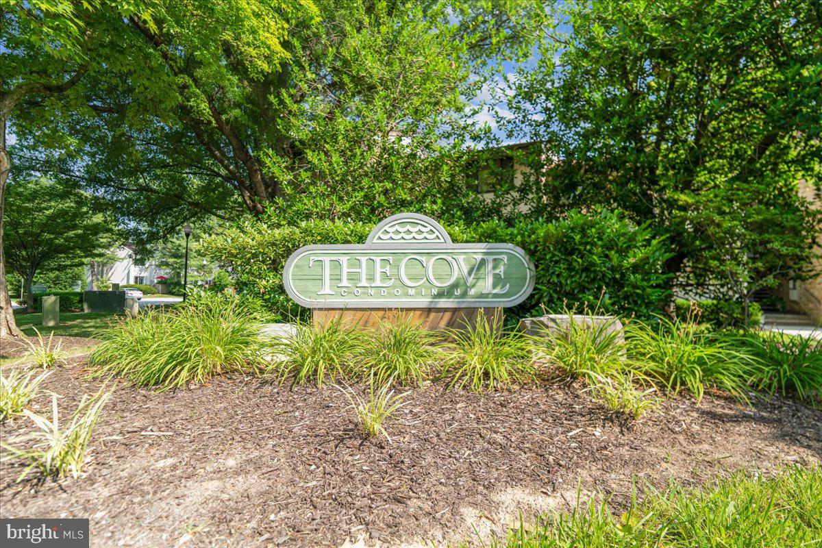 THE COVE - Residential