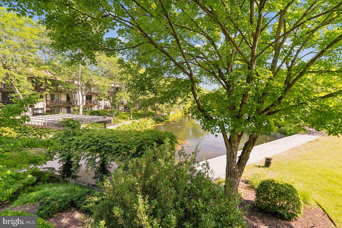 THE COVE - Residential