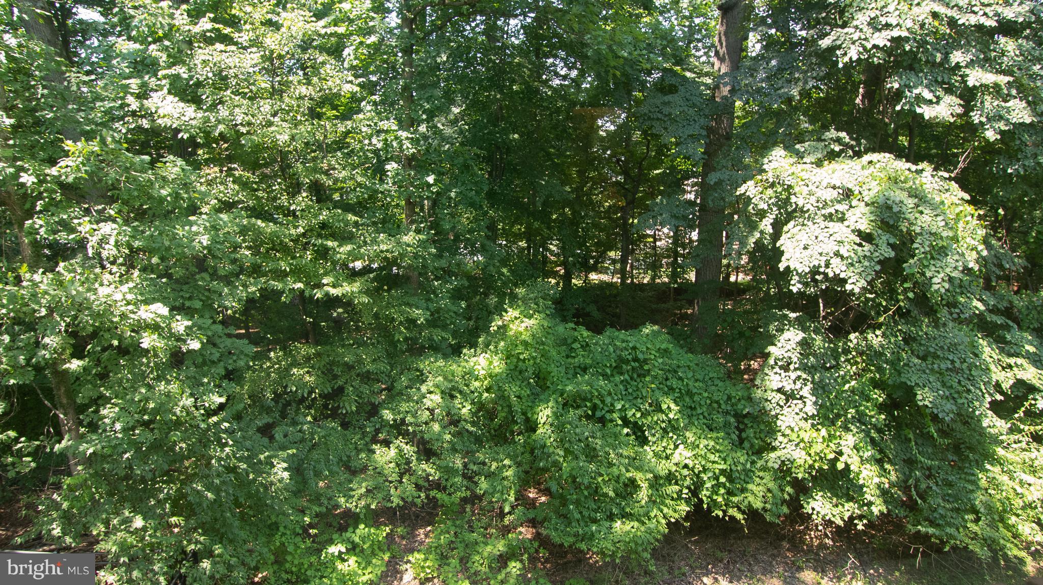 PARKSIDE CONDOMINIUMS - Residential Lease