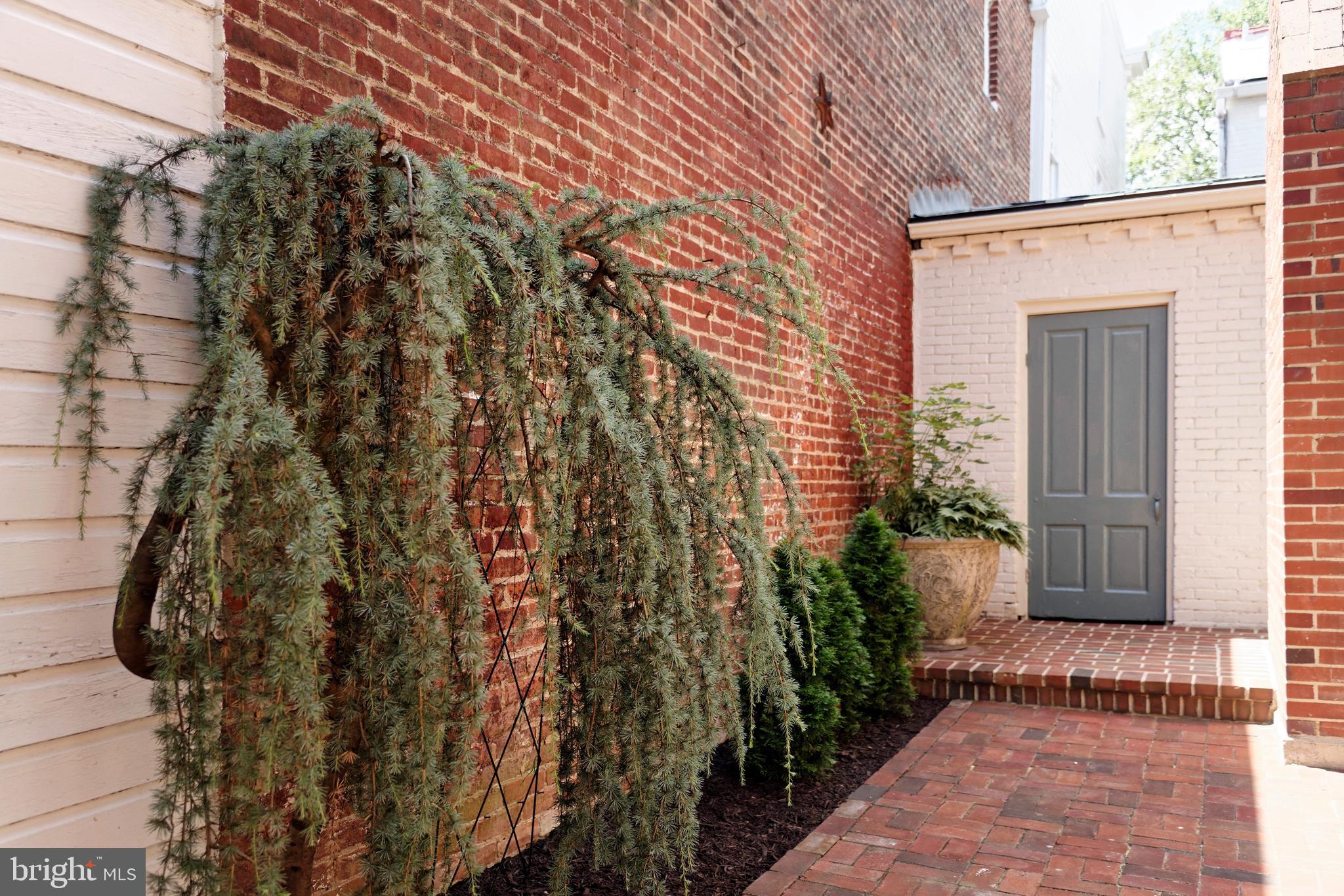 OLD TOWN ALEXANDRIA - Residential