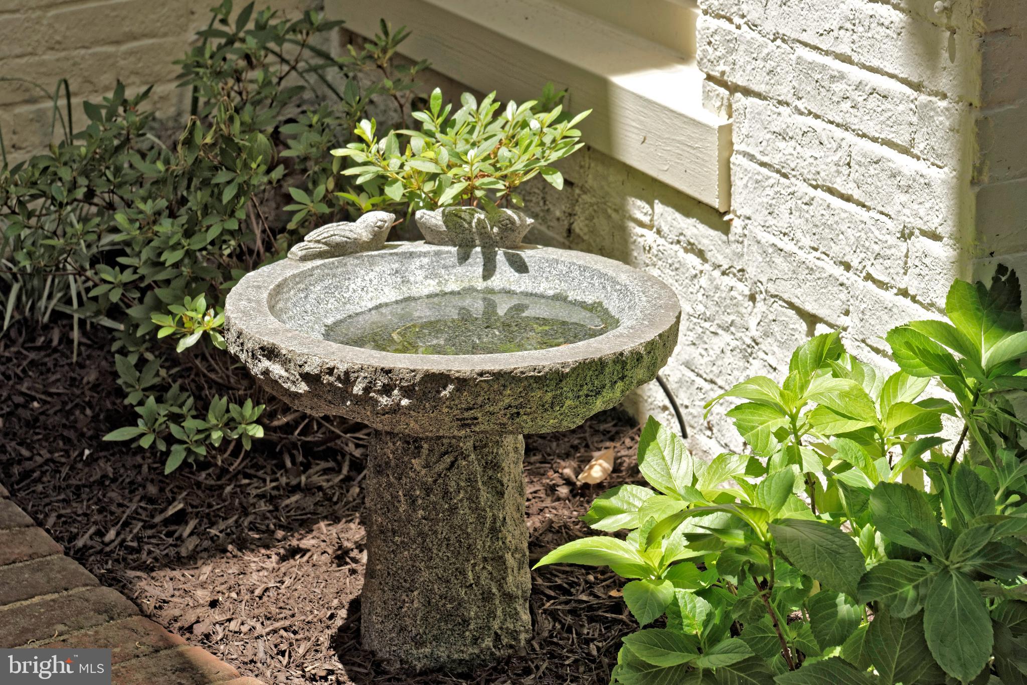 OLD TOWN ALEXANDRIA - Residential