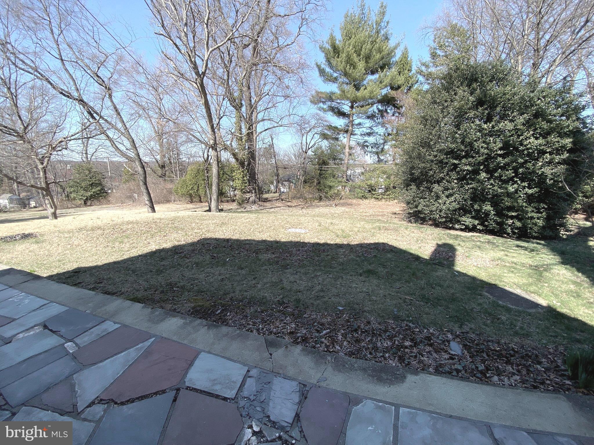 WILLOW WOODS - Residential