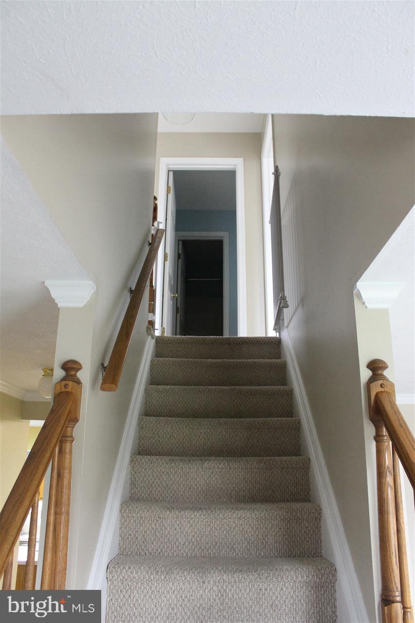 RAINTREE - Residential