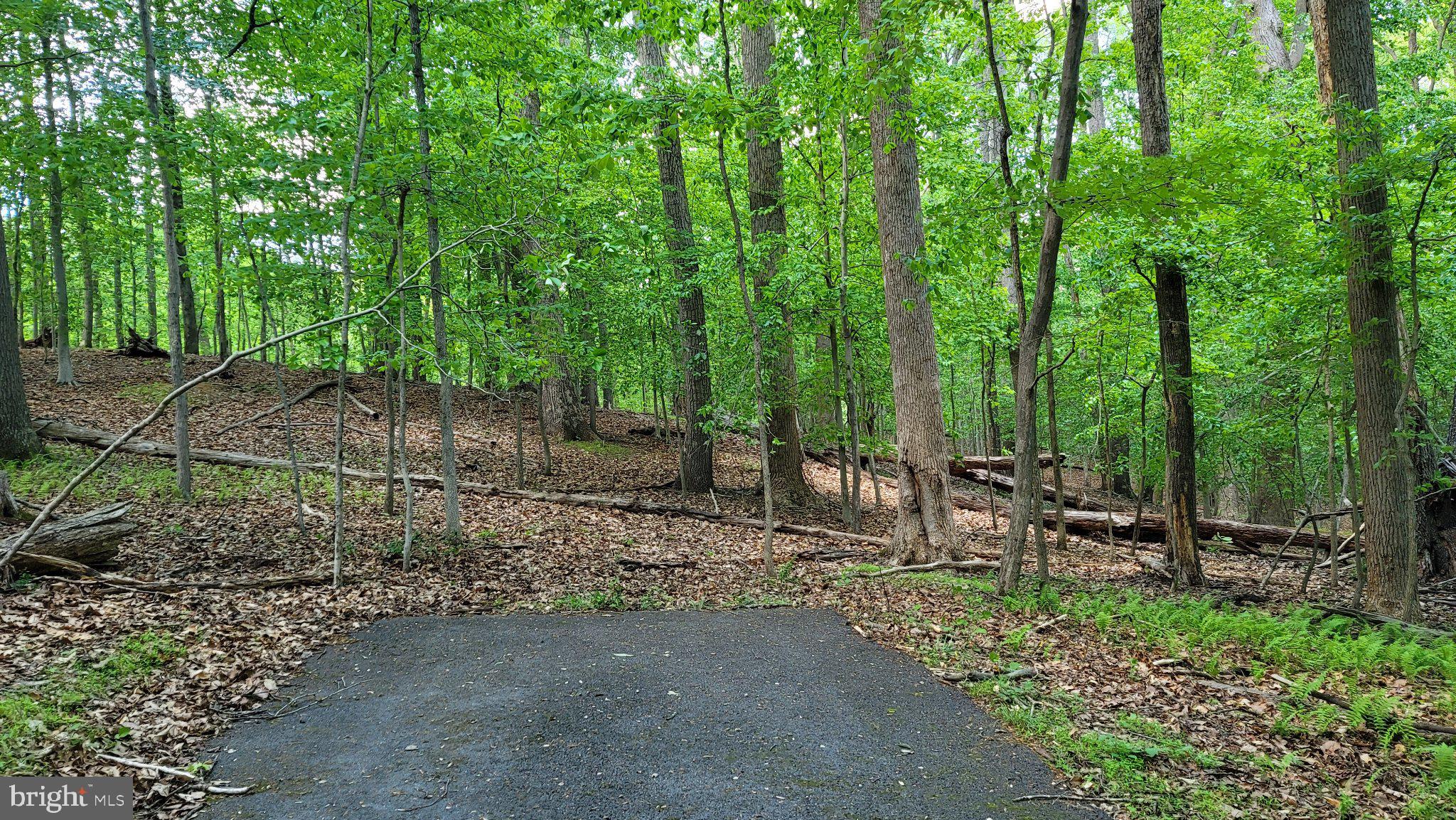 MAYNOR ESTATES - Land