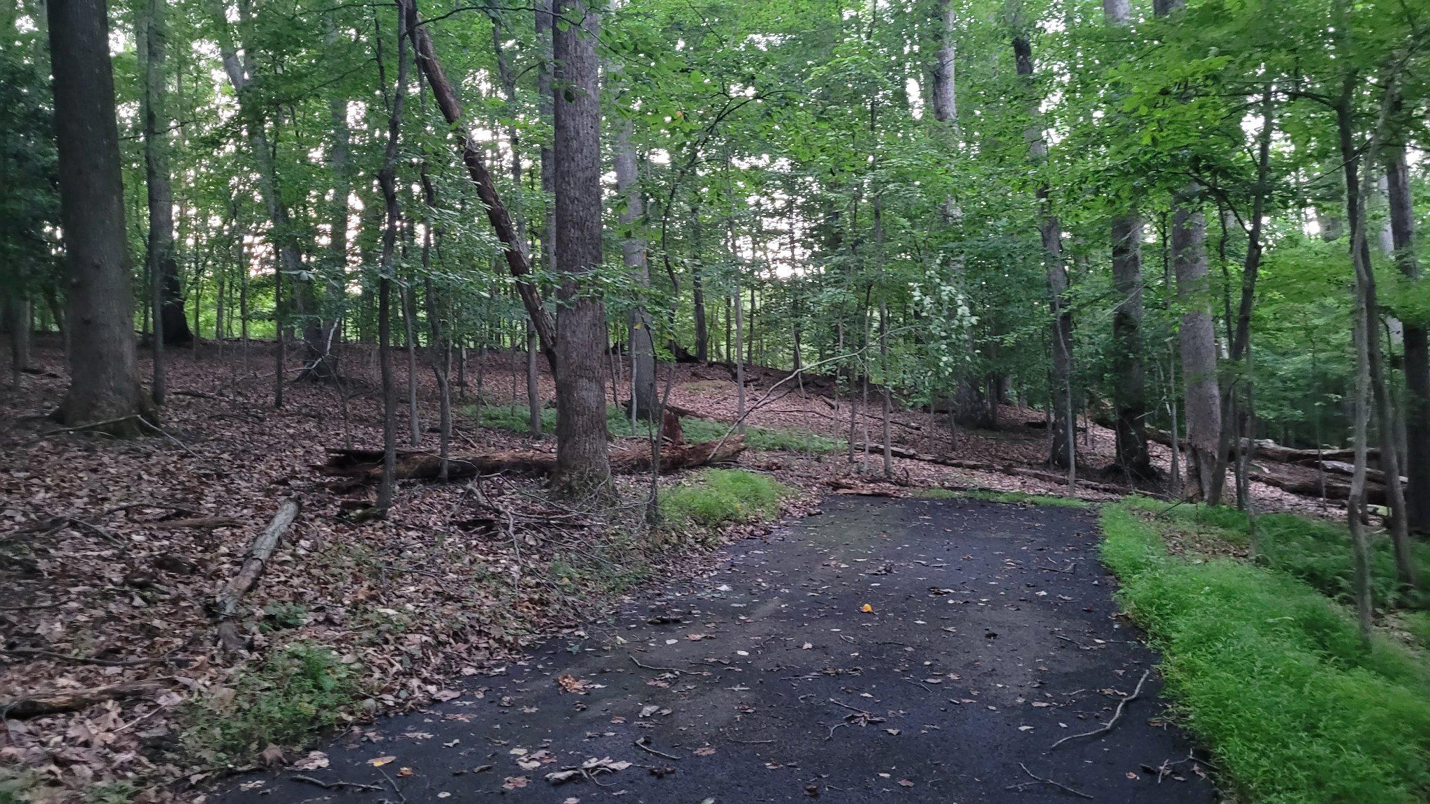 MAYNOR ESTATES - Land