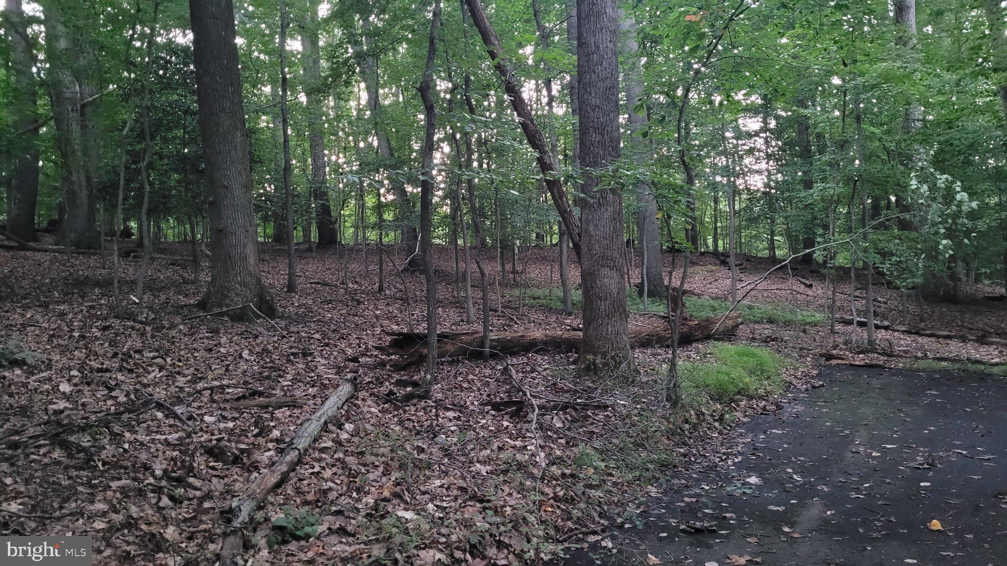 MAYNOR ESTATES - Land