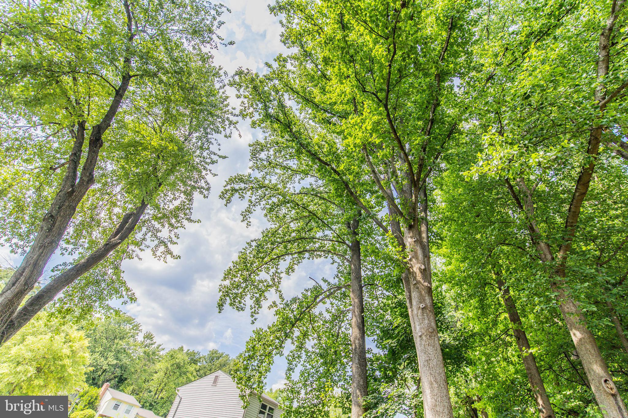 GOOD HOPE ESTATES - Residential