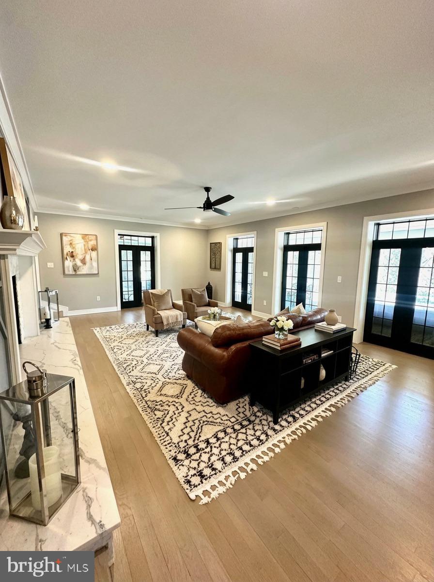 CHESTNUT HILL - Residential