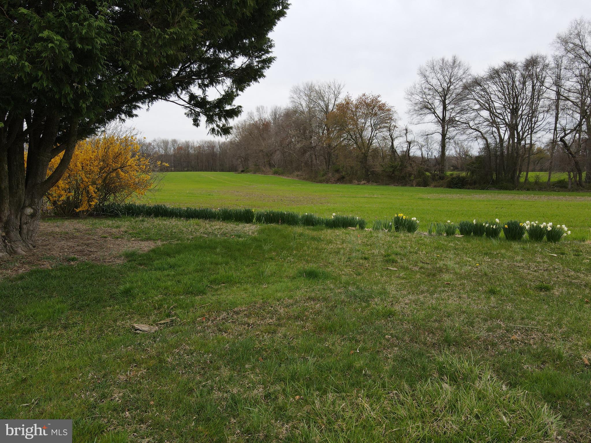 MILLINGTON - Farm