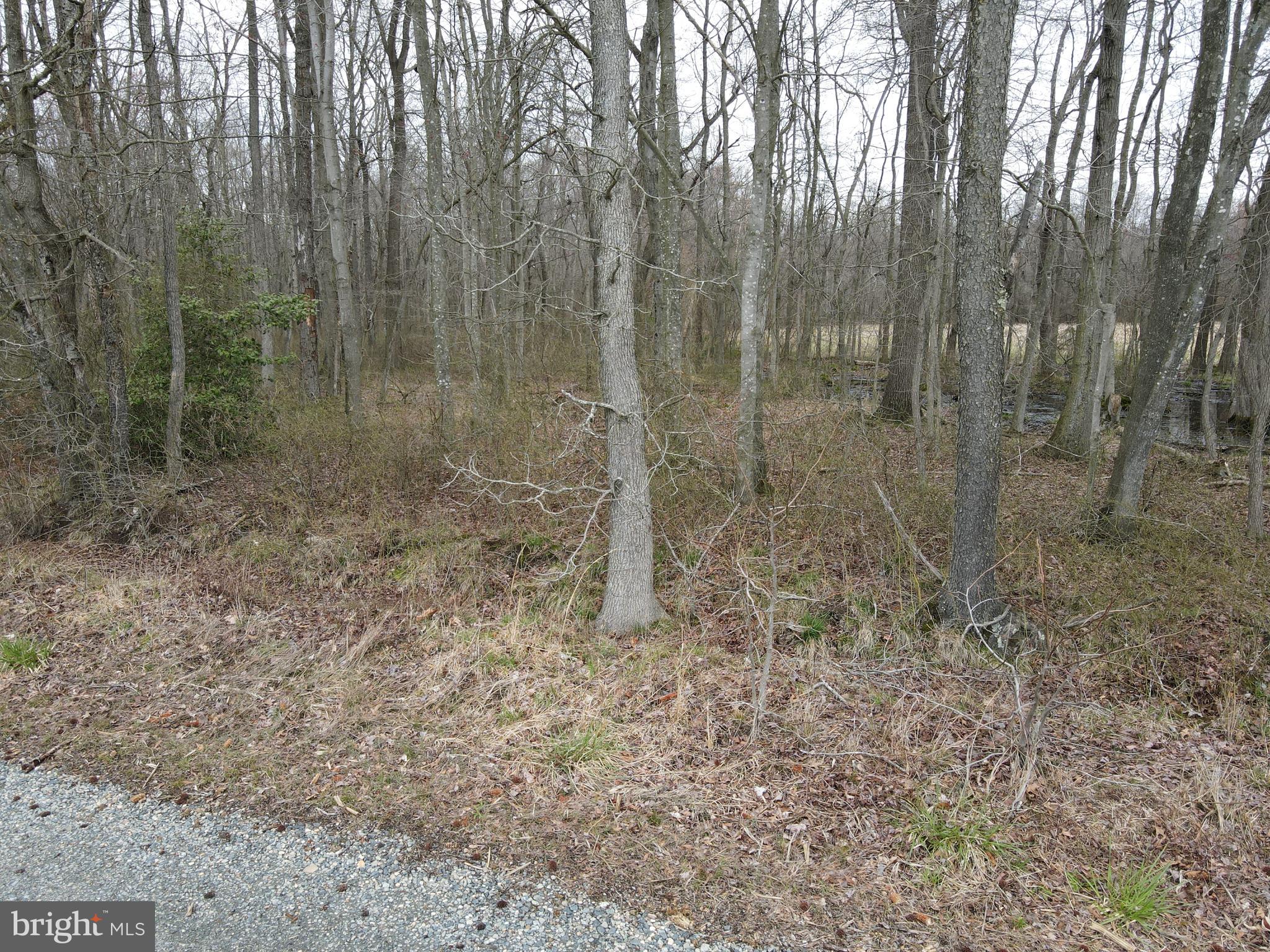 MILLINGTON - Farm