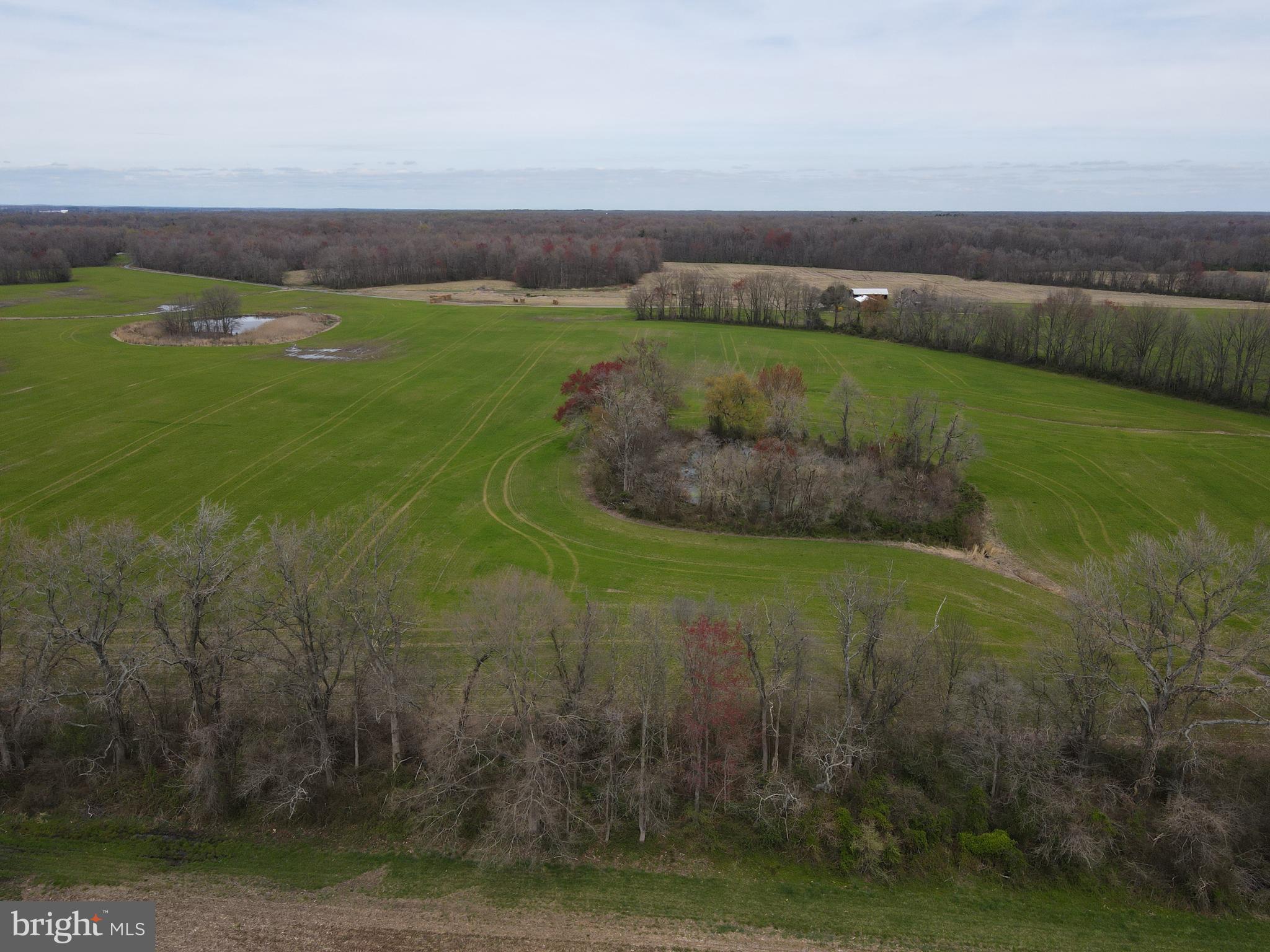 MILLINGTON - Farm