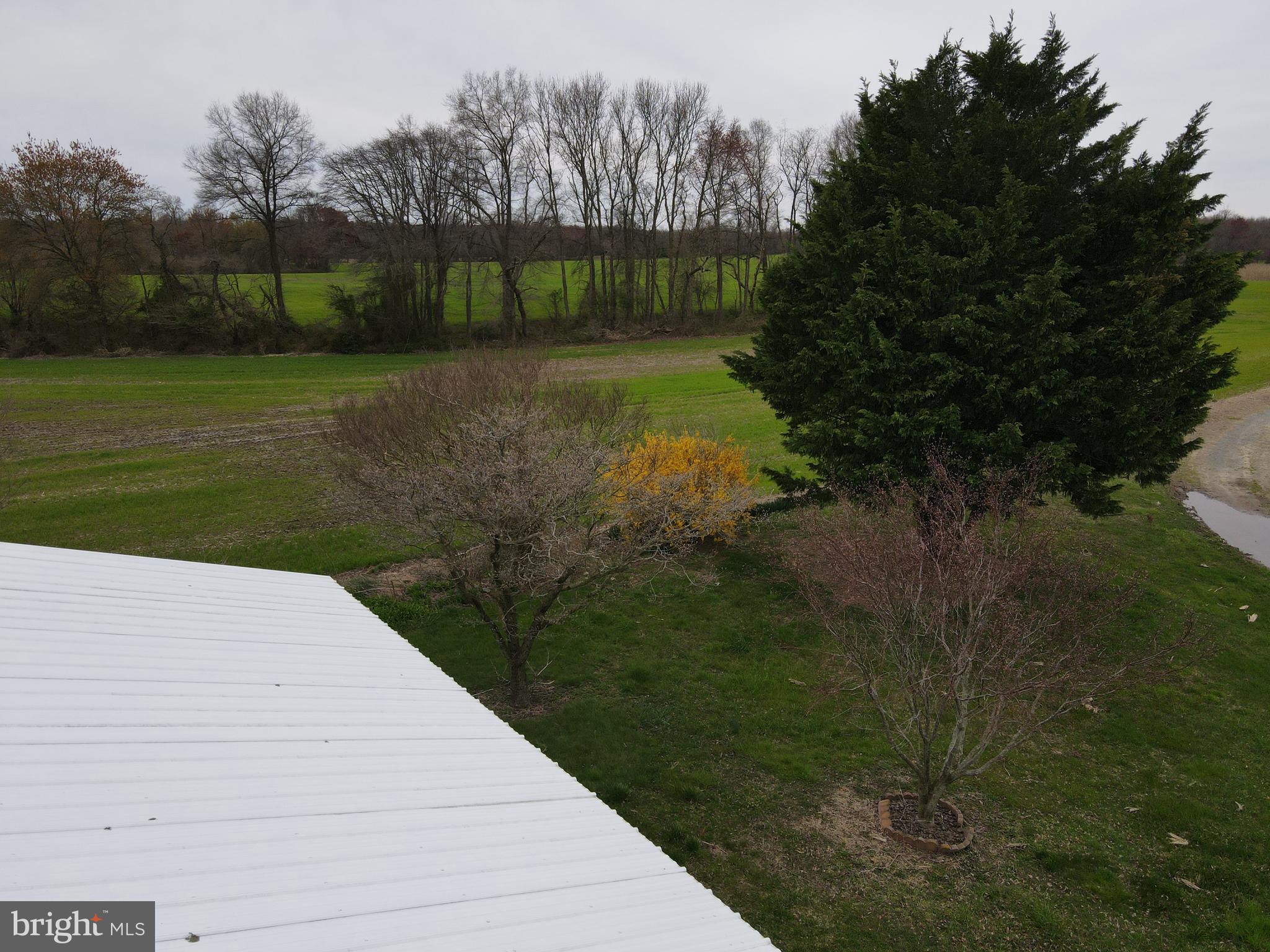 MILLINGTON - Farm