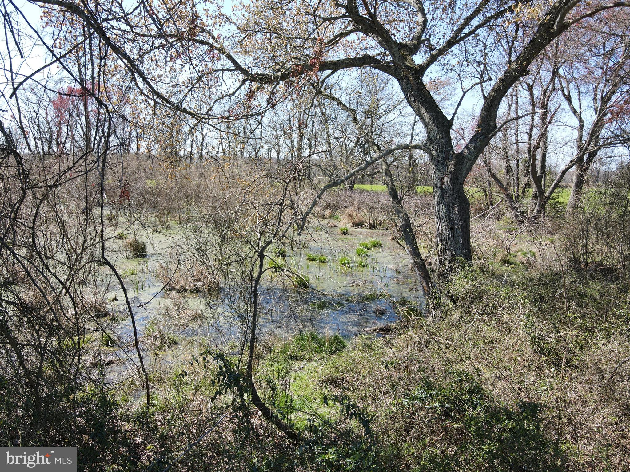MILLINGTON - Farm