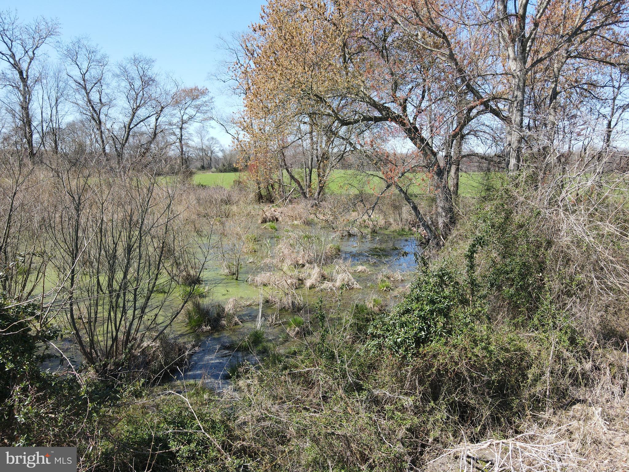 MILLINGTON - Farm
