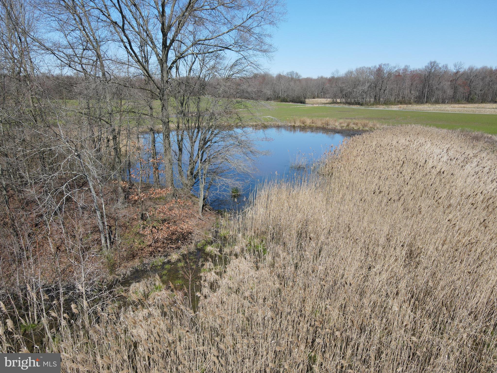 MILLINGTON - Farm
