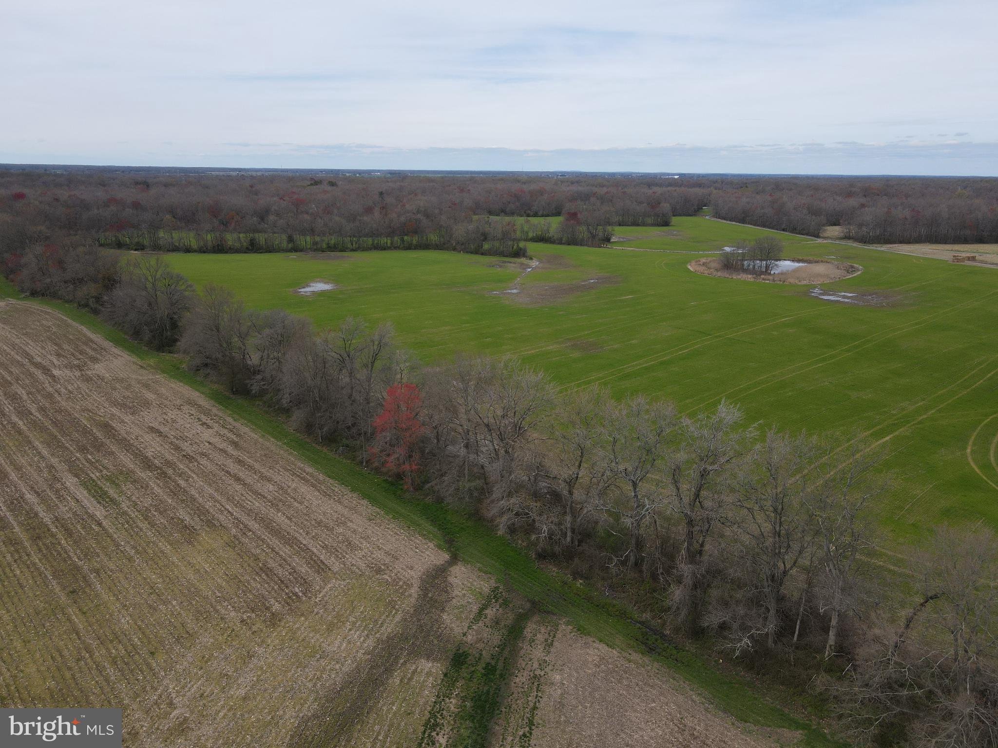 MILLINGTON - Farm