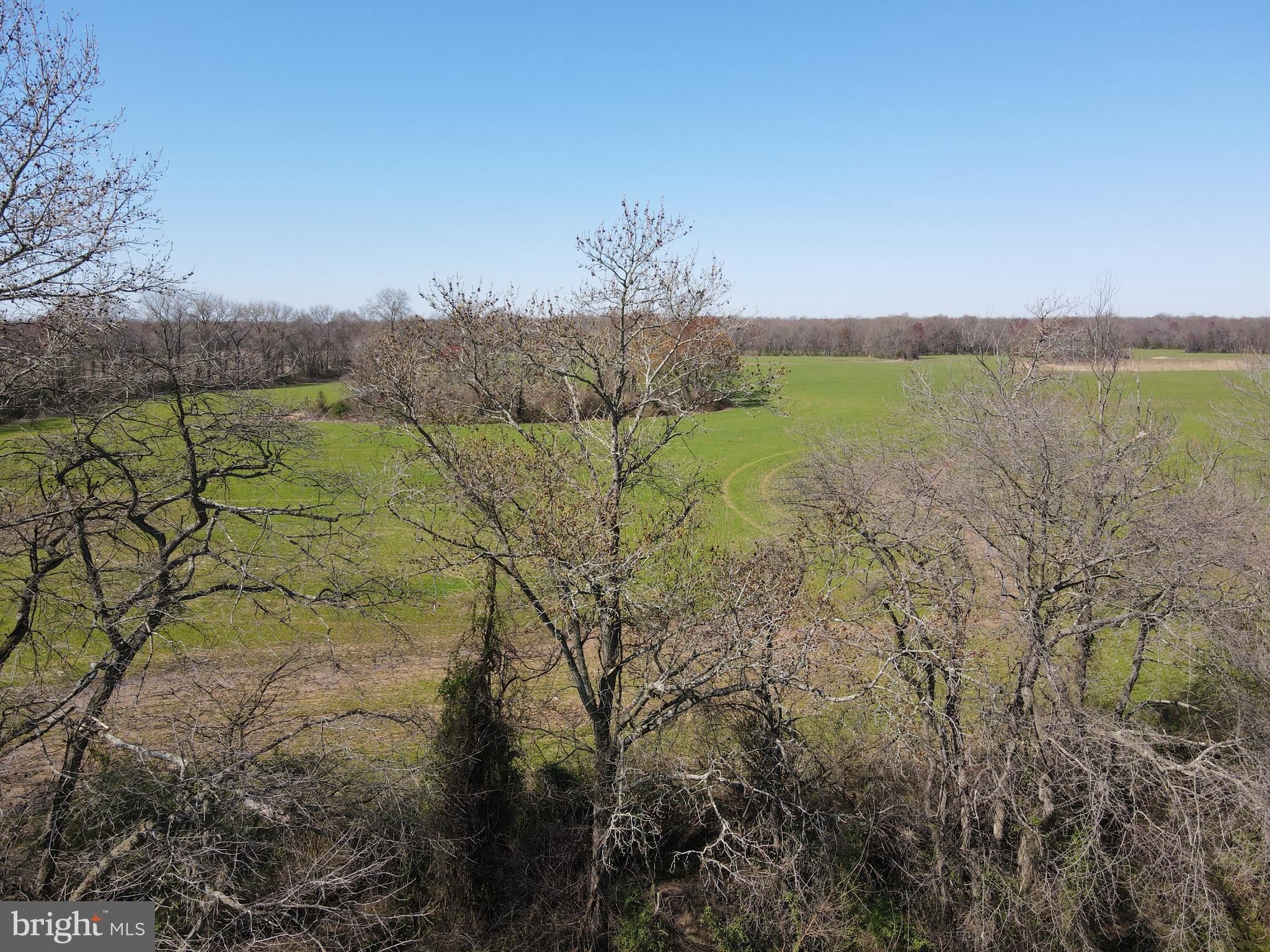 MILLINGTON - Farm