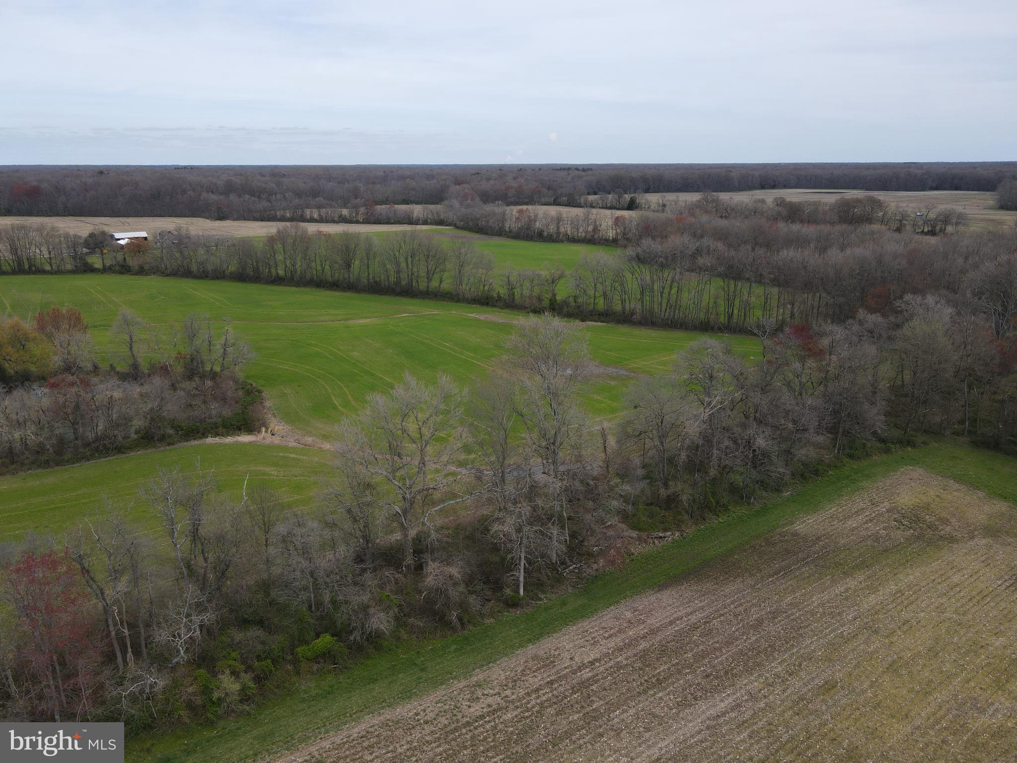 MILLINGTON - Farm