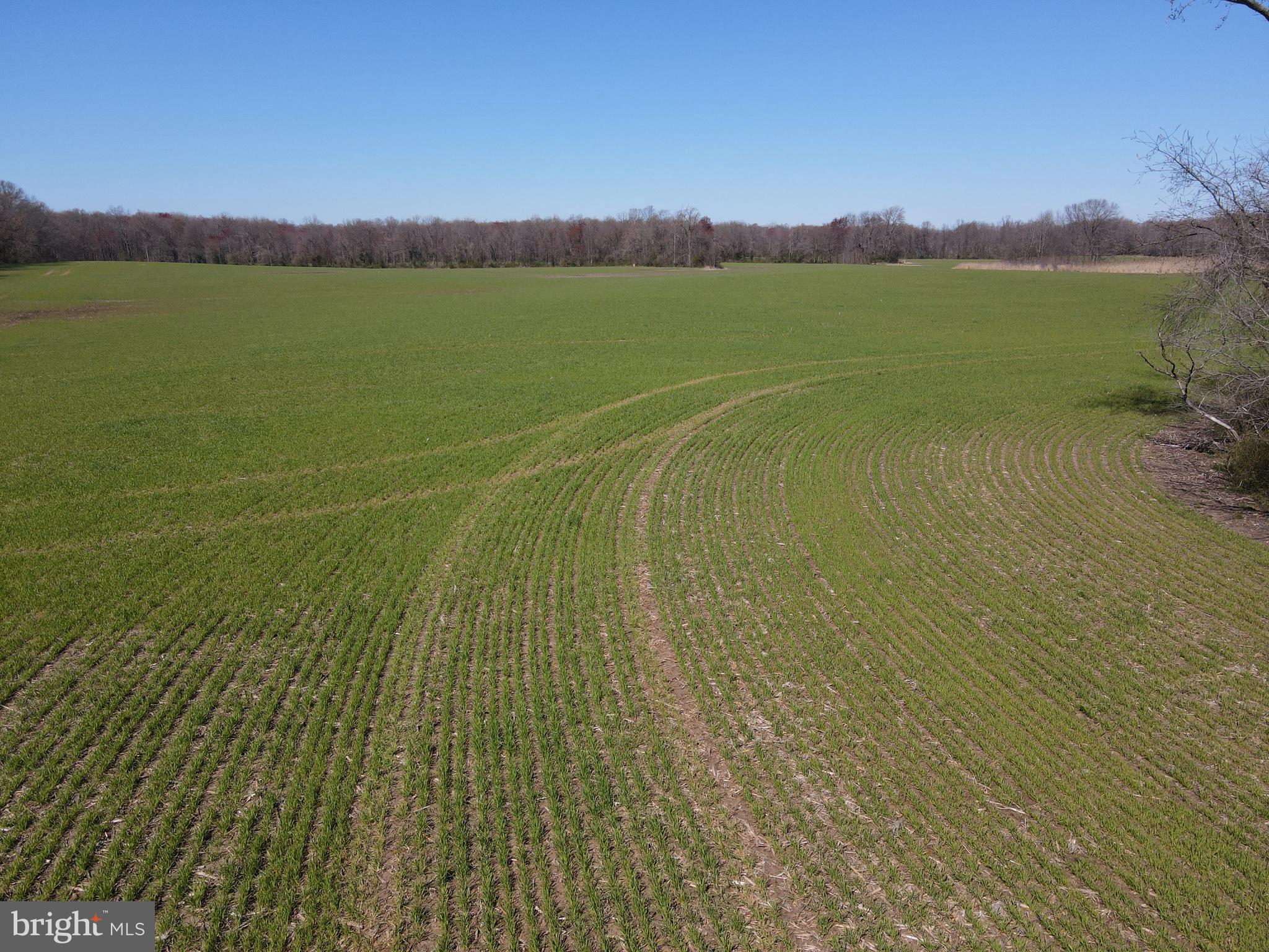 MILLINGTON - Farm
