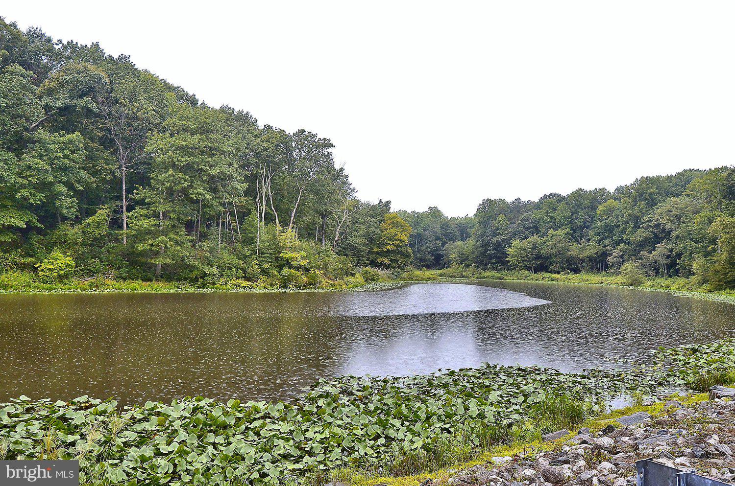 LAKE OF THE PINES - Residential