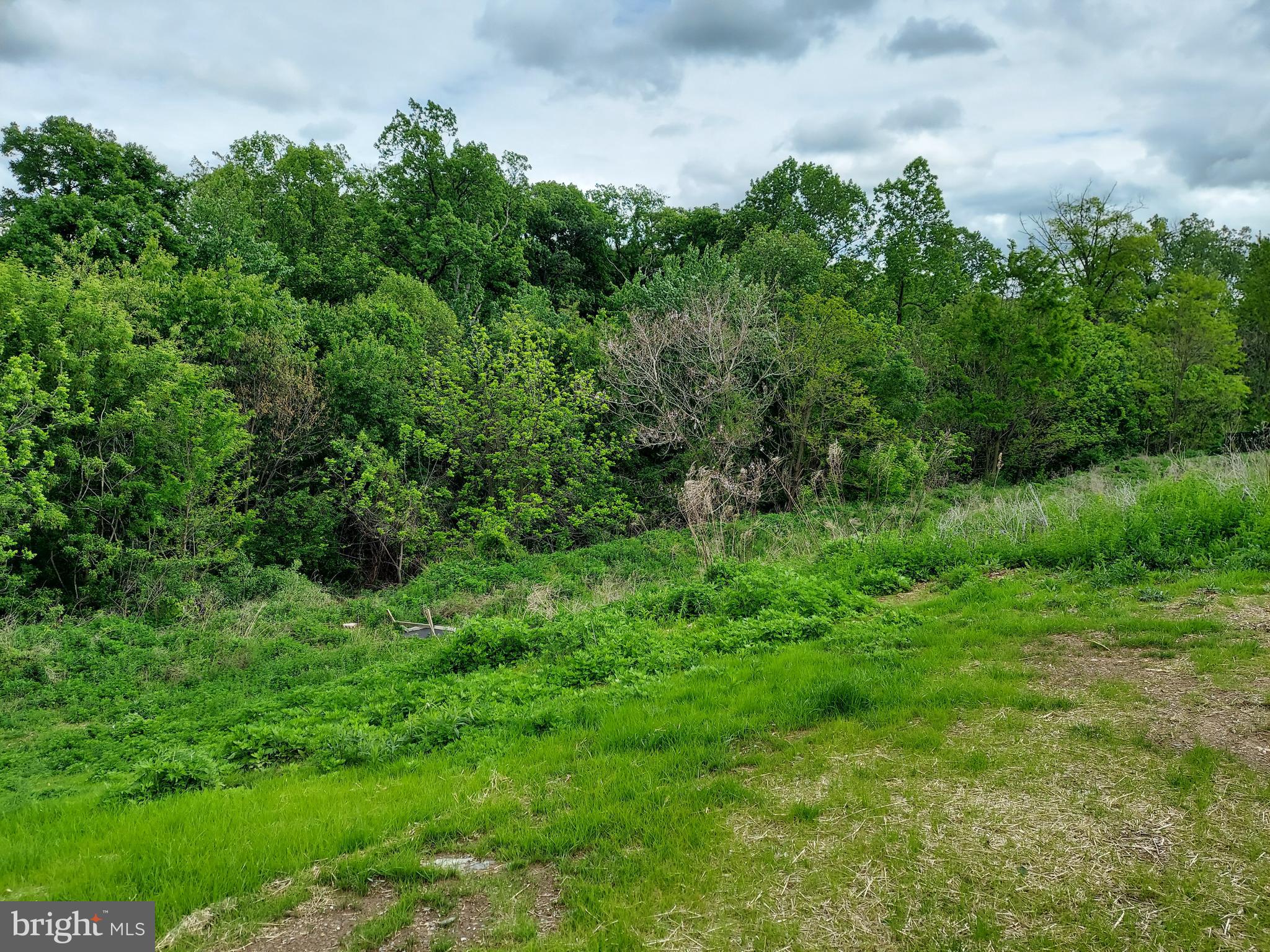 KENDALE HEIGHTS - Land