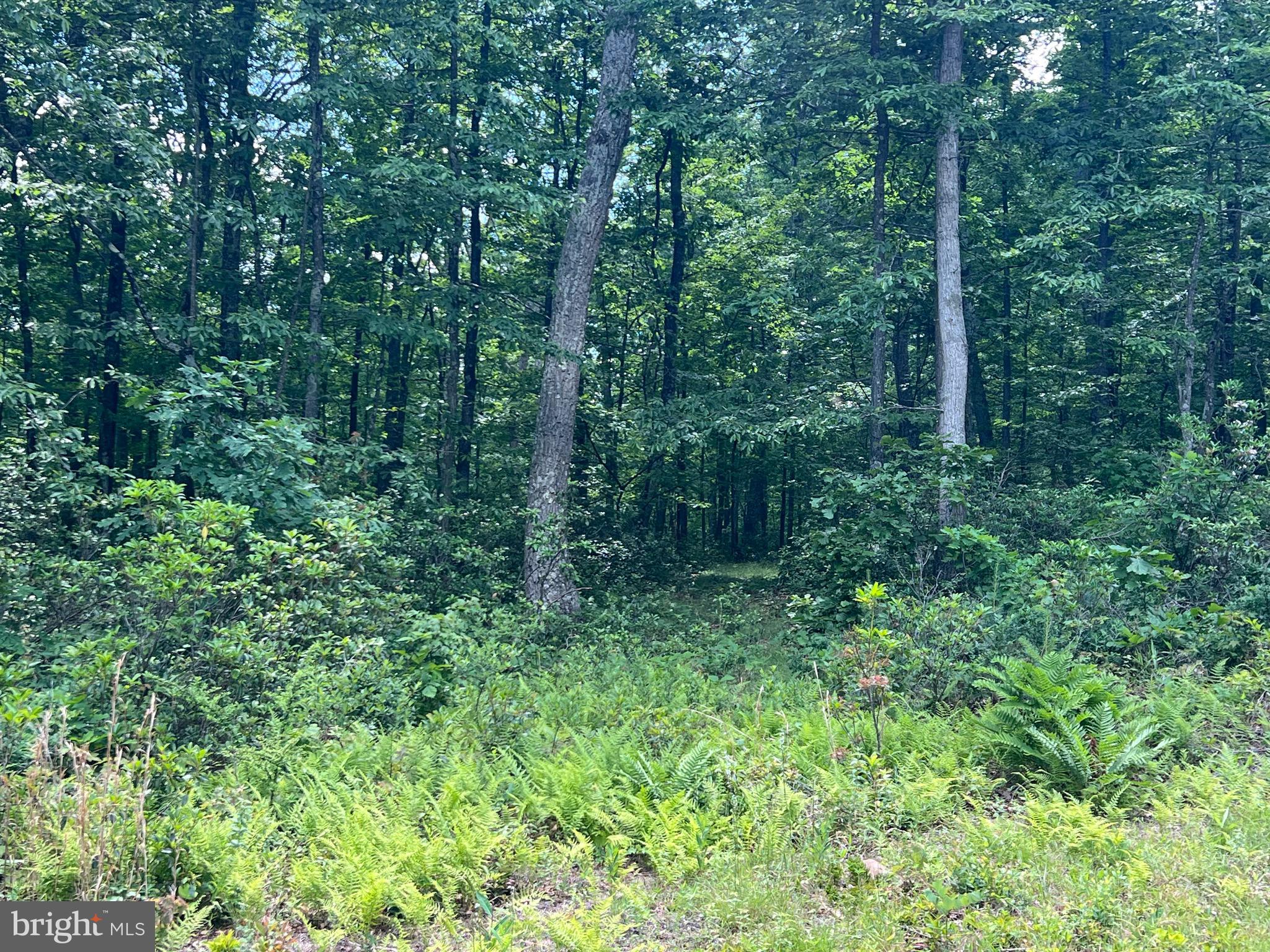 BLACKBERRY MEADOWS - Land