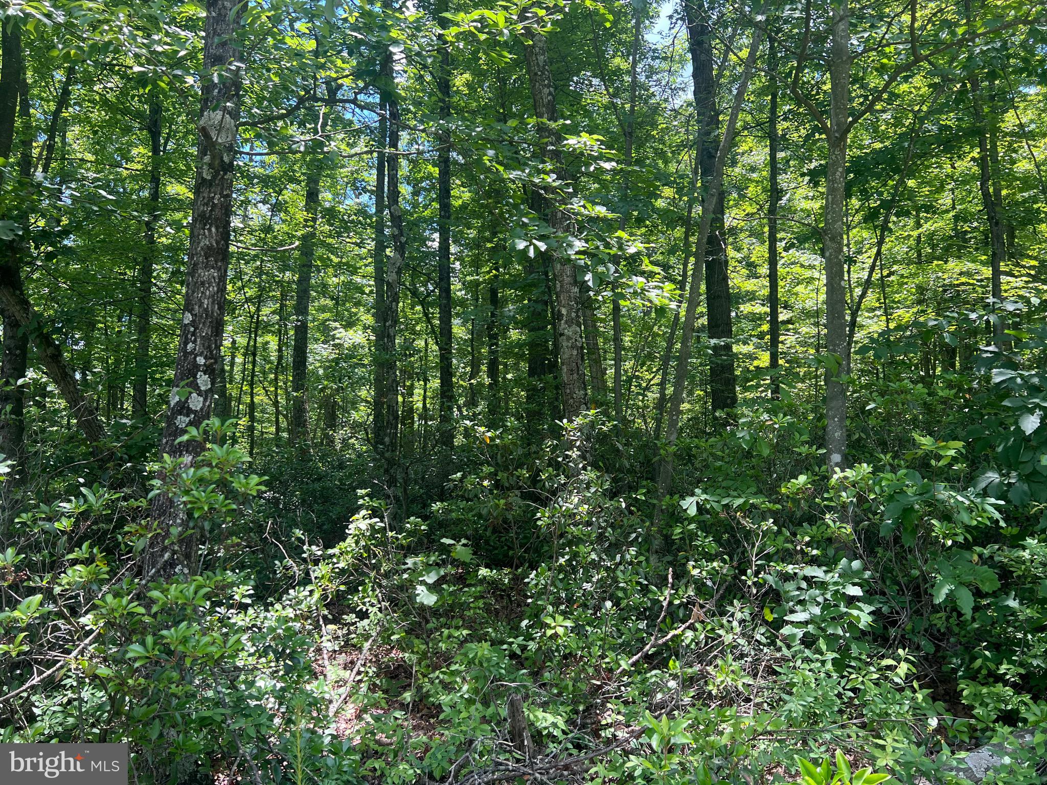 BLACKBERRY MEADOWS - Land