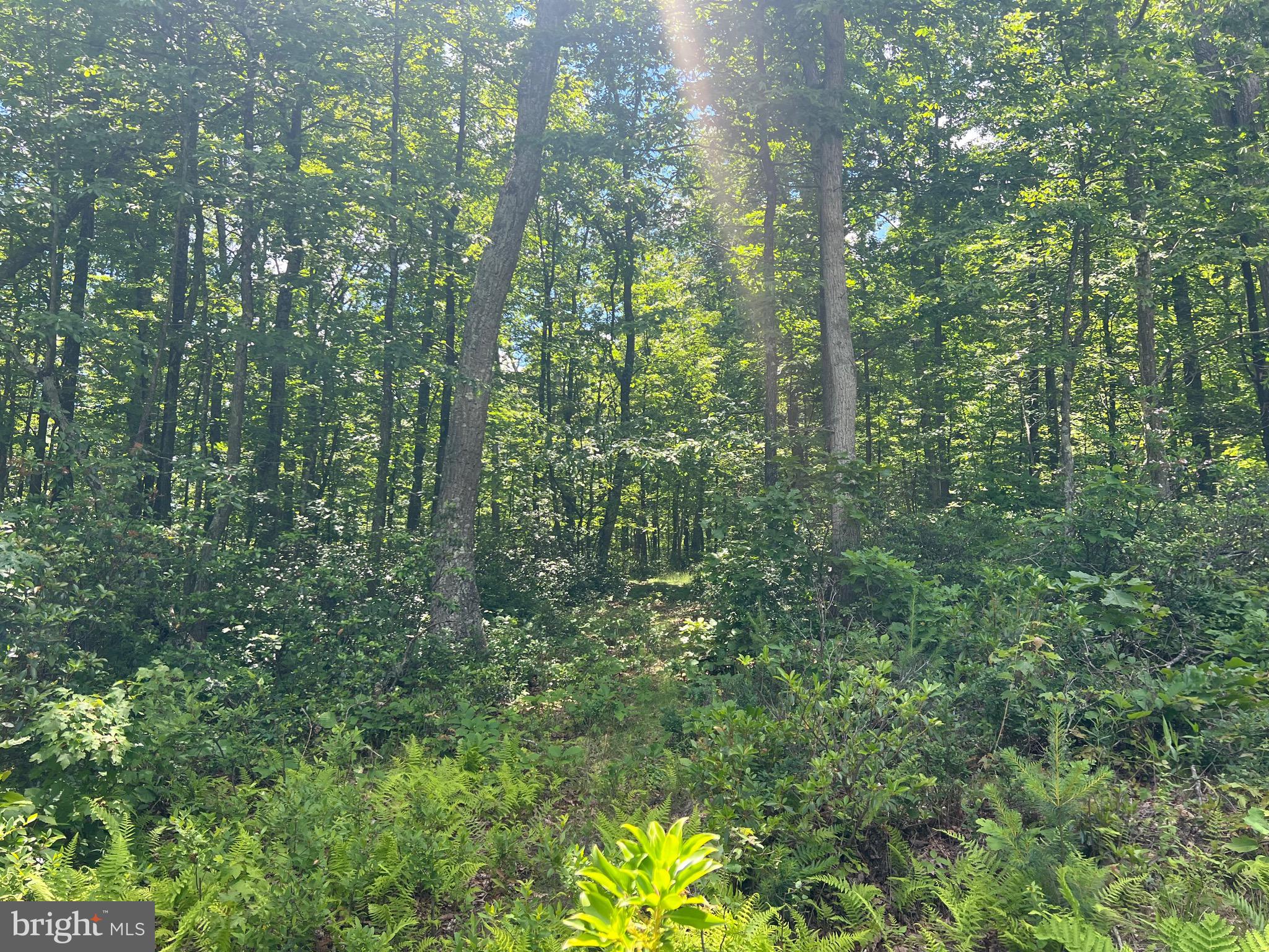 BLACKBERRY MEADOWS - Land