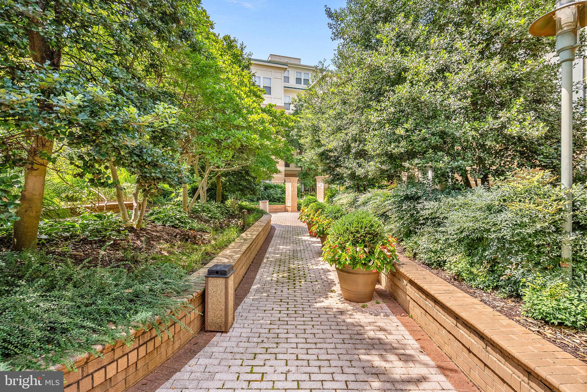 MARKET STREET AT TOWN CENTER - Residential