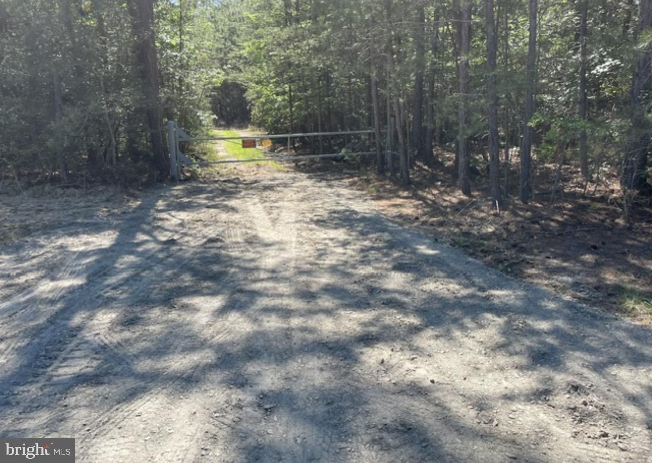 Discover 25.36 private acres in King George County zoned A-2 and ready for your dream home. This buildable parcel has already percolated for a 4-bedroom residence and features a deeded access road for convenient entry while maintaining privacy. With plenty of space for a custom home, outbuildings, or a small farmstead, this property offers the perfect blend of rural charm and flexibility in beautiful Virginia. Whether you're ready to build now or invest for the future, this is a rare opportunity to own in a desirable location.