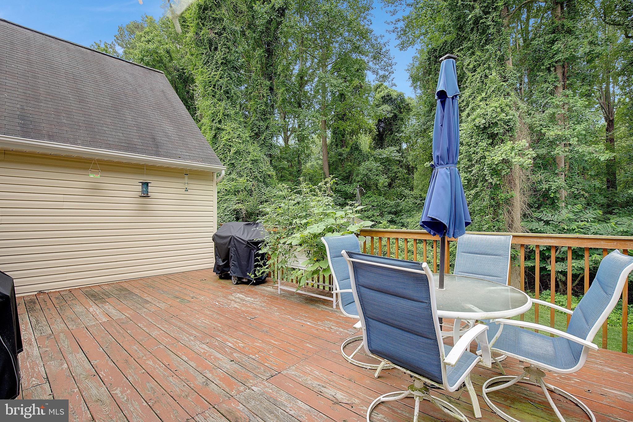 CHESAPEAKE HEIGHTS - Residential