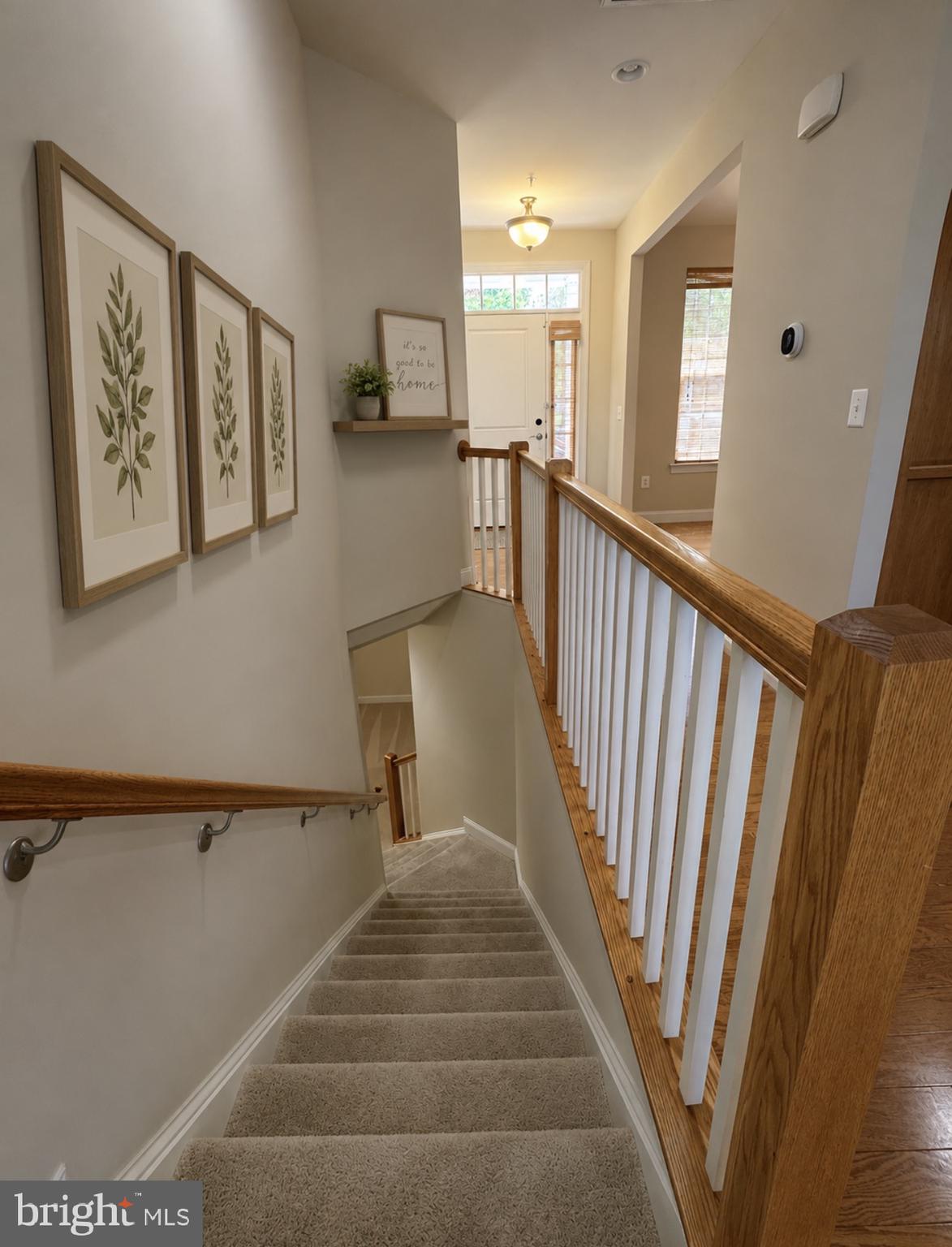 THE VILLAGES OF STEEPLECHASE - Residential