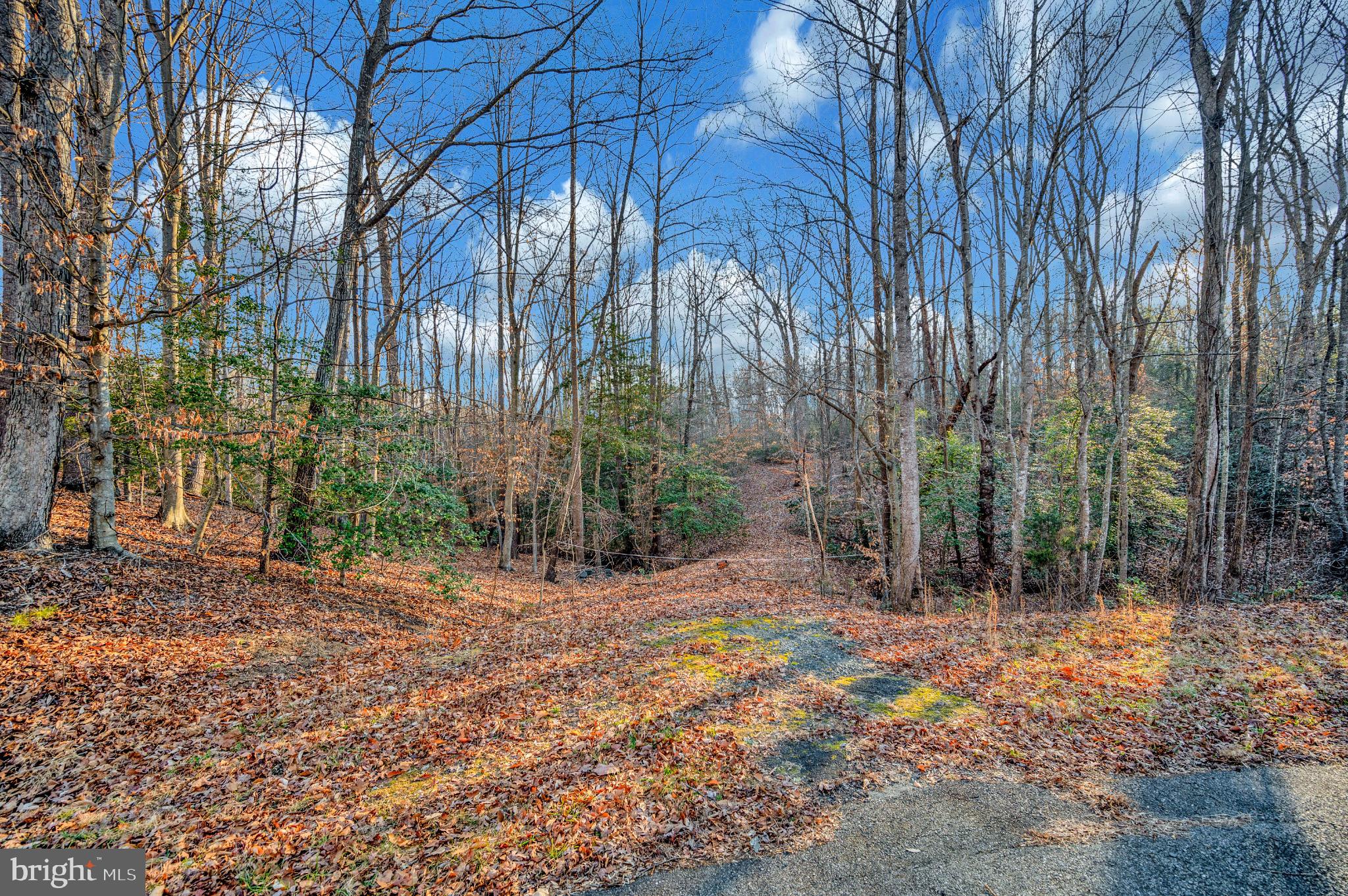 As America celebrates its 250th Anniversary, there's no better time to invest in land and create a legacy for generations to come.
3.425 Acres Improved Land – North Stafford | No HOA
Address: 93 Dent Rd, Stafford, VA 22554
Subdivision: Cobblestone (Non-HOA)
Zoning: Agricultural
Beautiful 3.425-acre parcel in sought-after North Stafford with major improvements already completed. The property features partial clearing for potential home and septic site and a cleared gravel driveway for easy access, culvert already installed.
Survey and soil studies have already been completed, septic permit was issued and now expired (buyers can reapply) but provides valuable information for potential buyers saving time and upfront costs. Stafford County public water hookup is available, making this an excellent opportunity for future residential use. 3.425 acres, Agricultural zoning A1, Non-HOA subdivision
Survey & soil work completed in documents of this listing for review. Public water hookup available. Convenient Location: Minutes to I-95 and Route 1, near Stafford Hospital, easy access to Quantico and FBI Academy
Ideal for building now or holding as an investment — improved land in a prime location with no HOA restrictions.